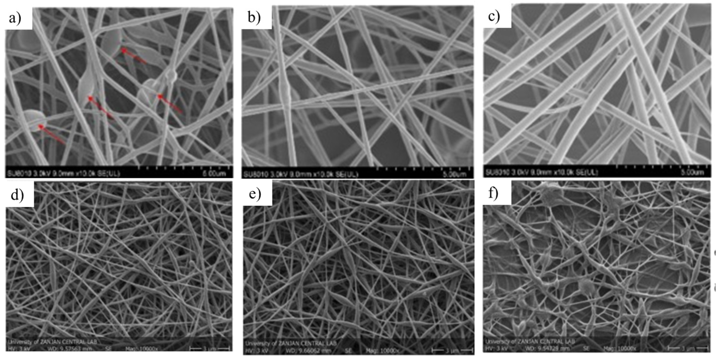 Coatings 15 01110 g002