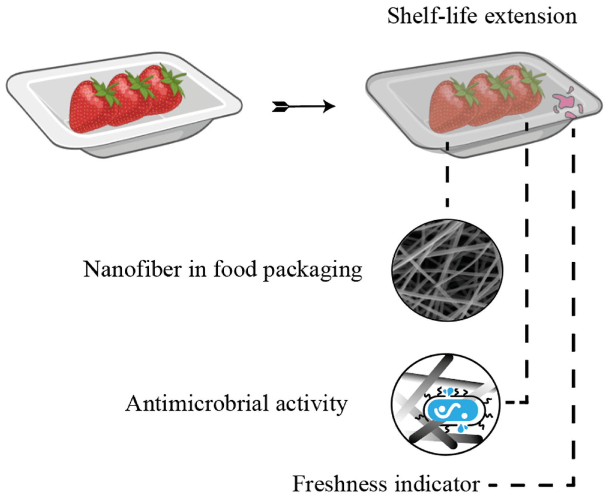 Coatings 15 01110 g004