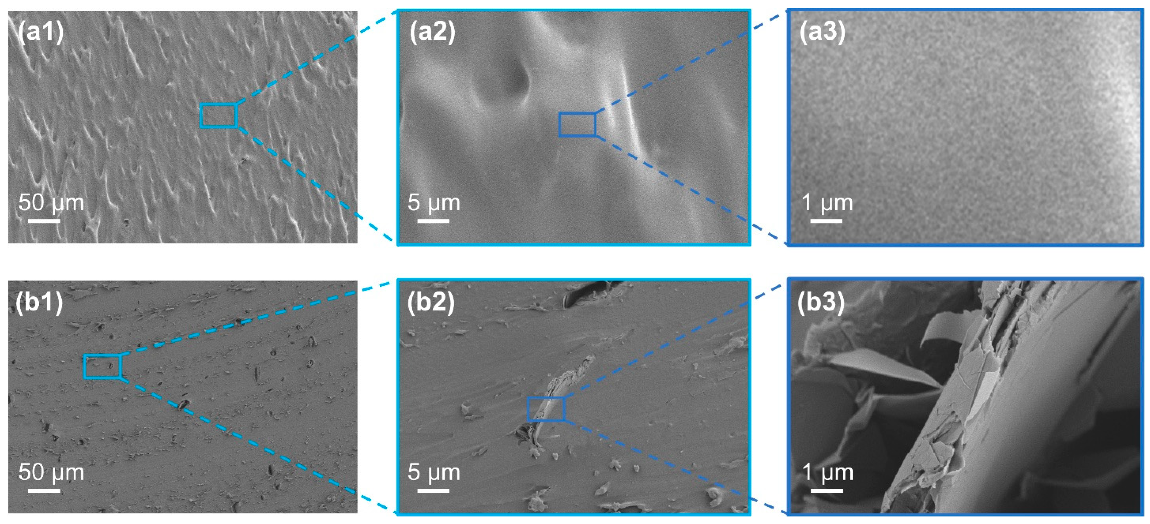 Coatings 15 01111 g004 Coatings 15 01111 g004