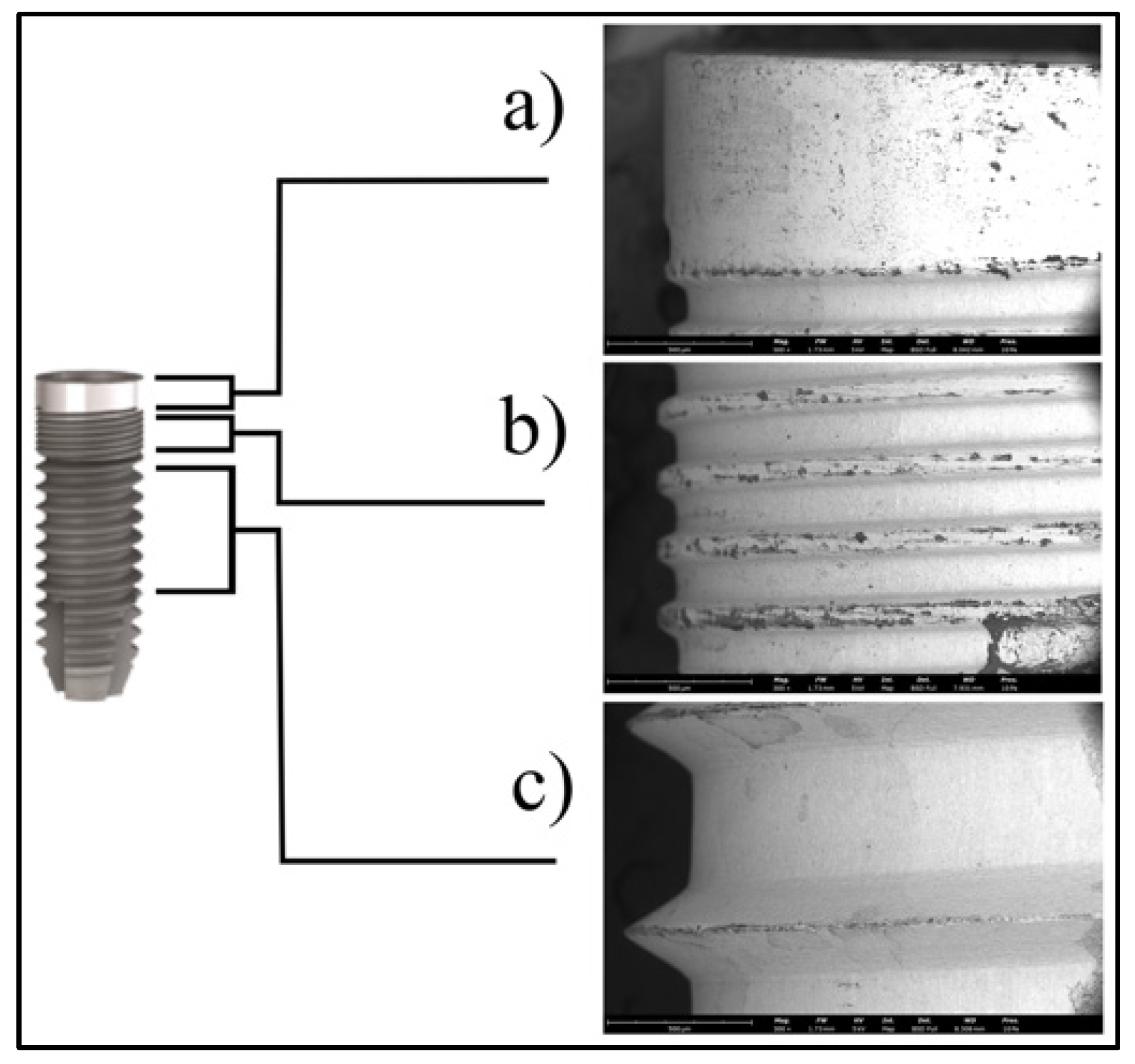 Coatings 15 01114 g001 Coatings 15 01114 g001