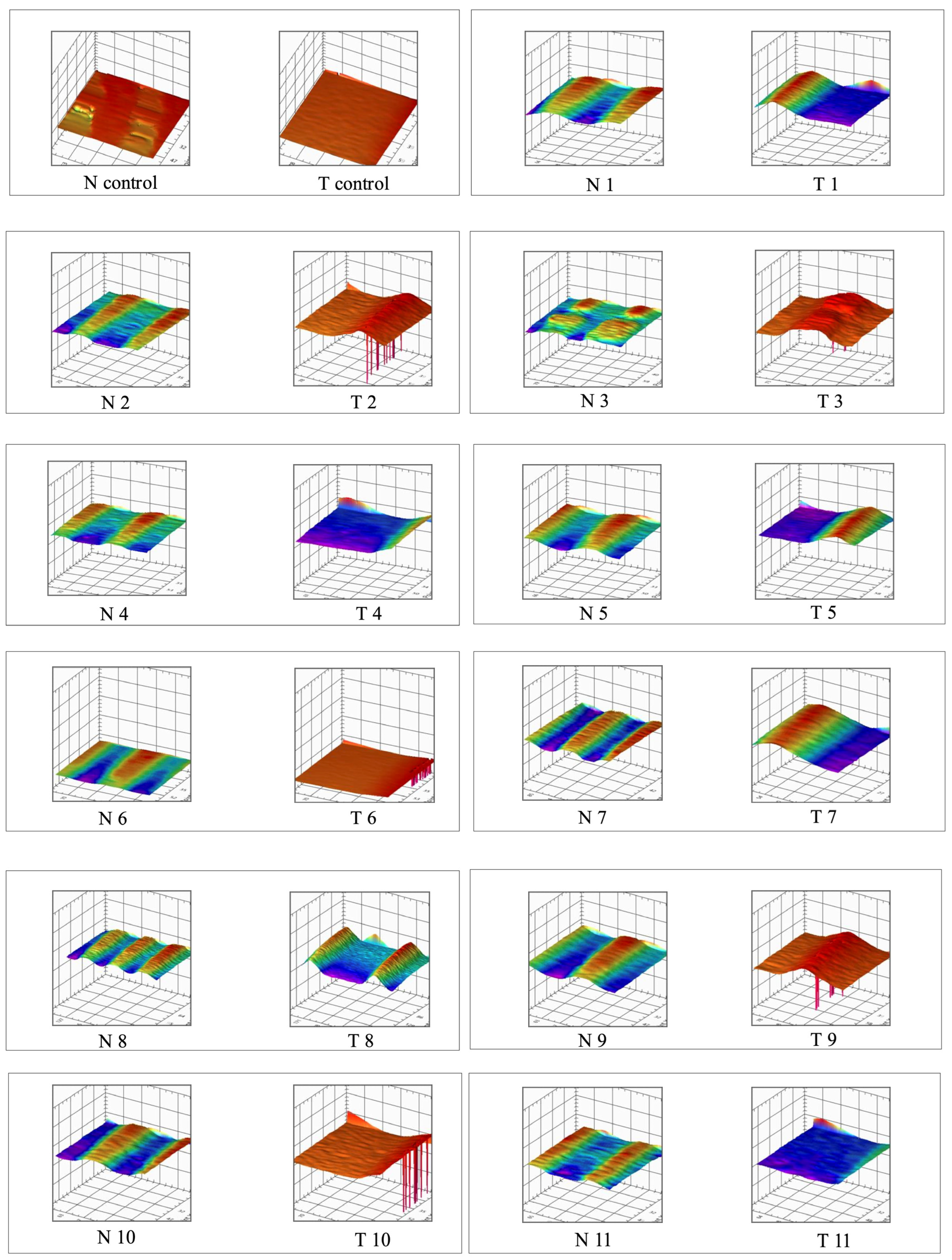 Coatings 15 01114 g003a Coatings 15 01114 g003a