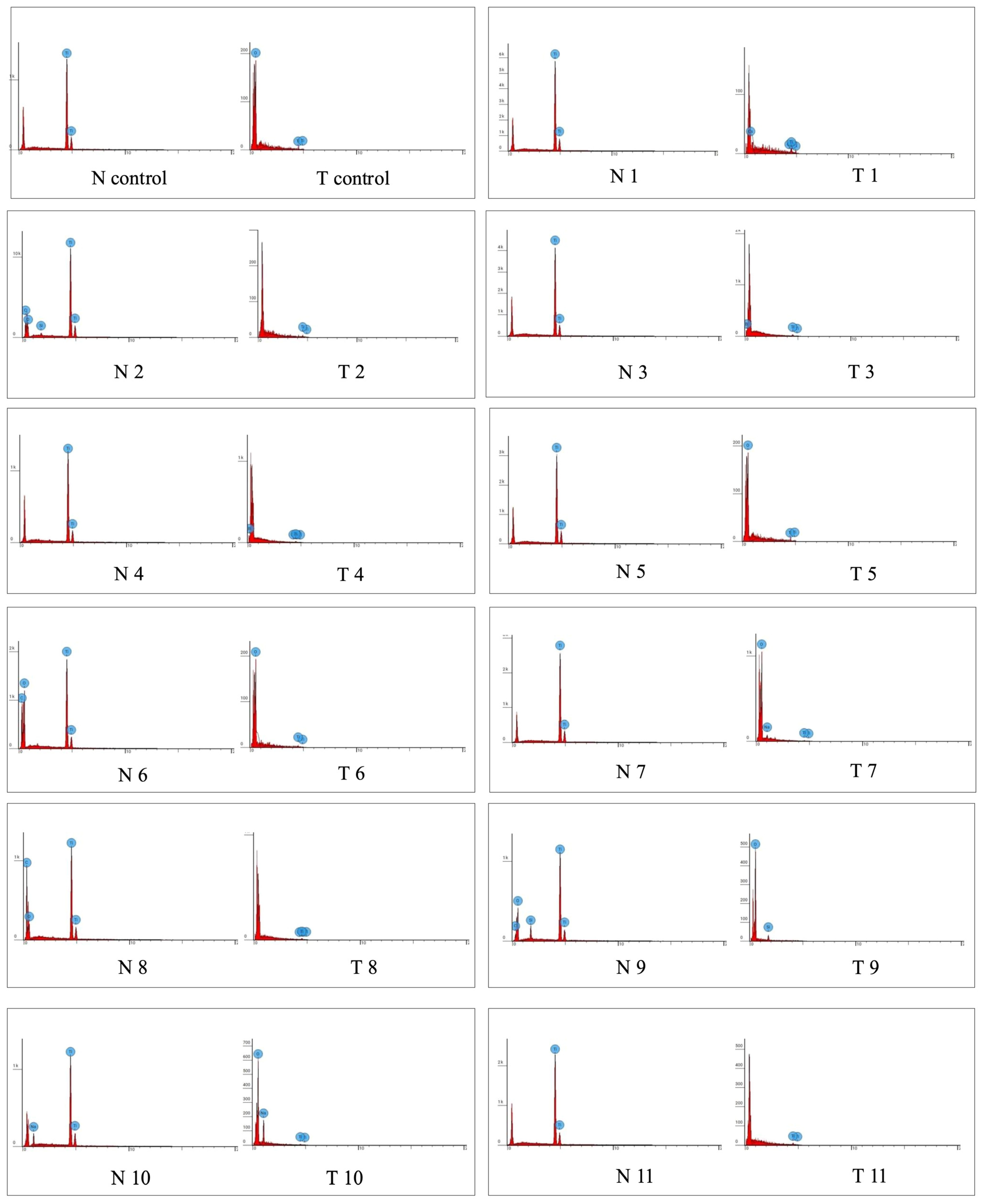 Coatings 15 01114 g006a Coatings 15 01114 g006a