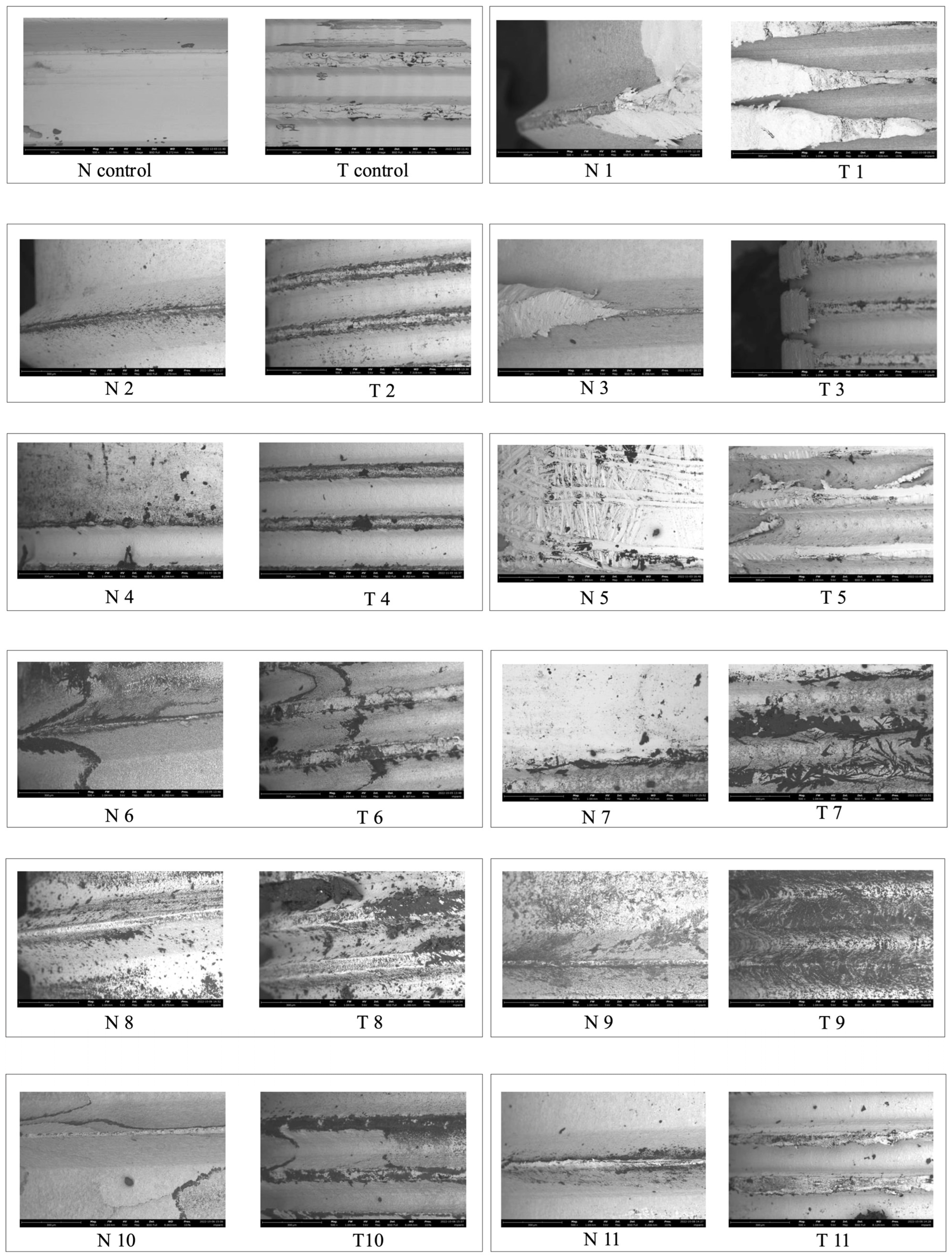 Coatings 15 01114 g007a Coatings 15 01114 g007a
