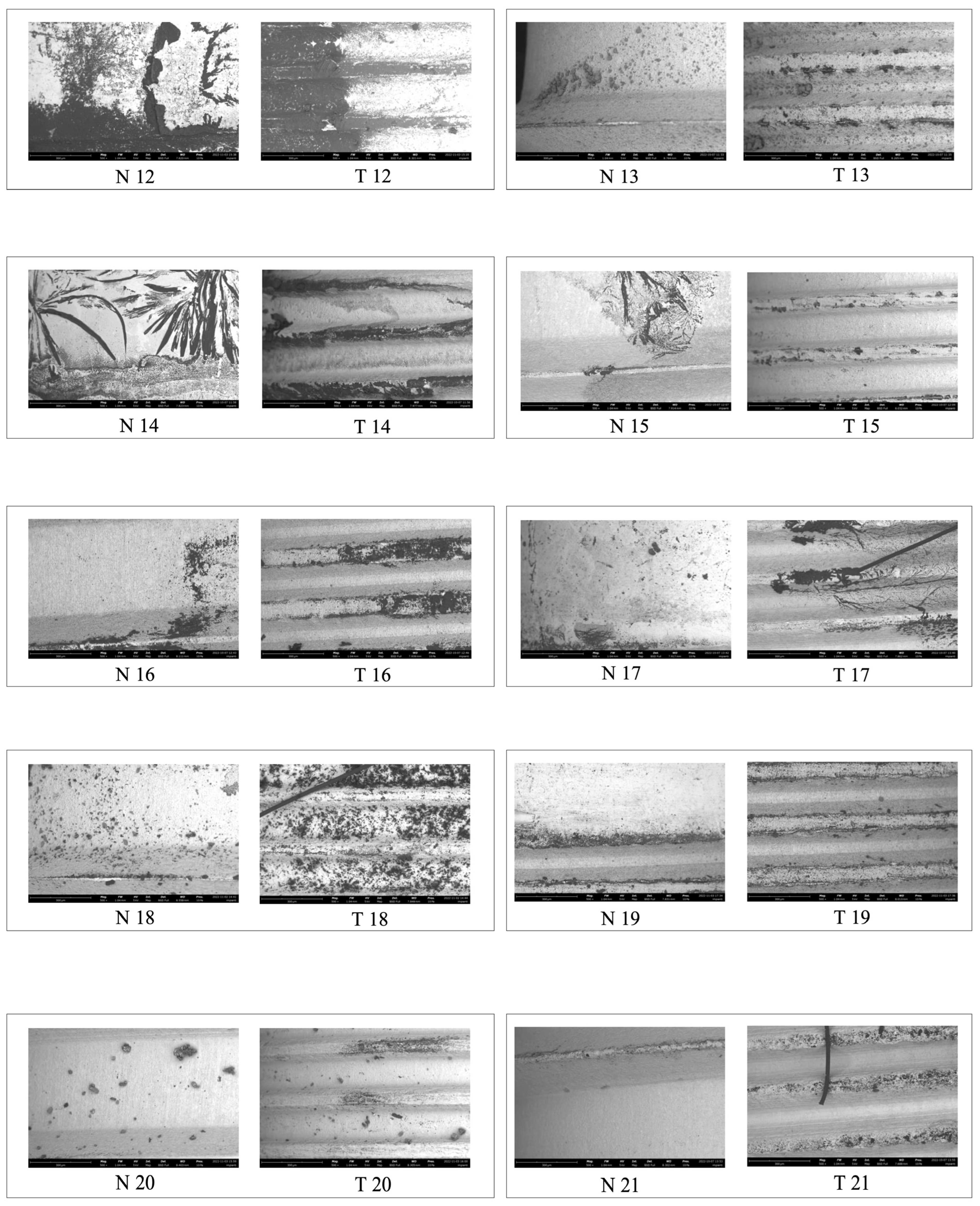 Coatings 15 01114 g007b Coatings 15 01114 g007b