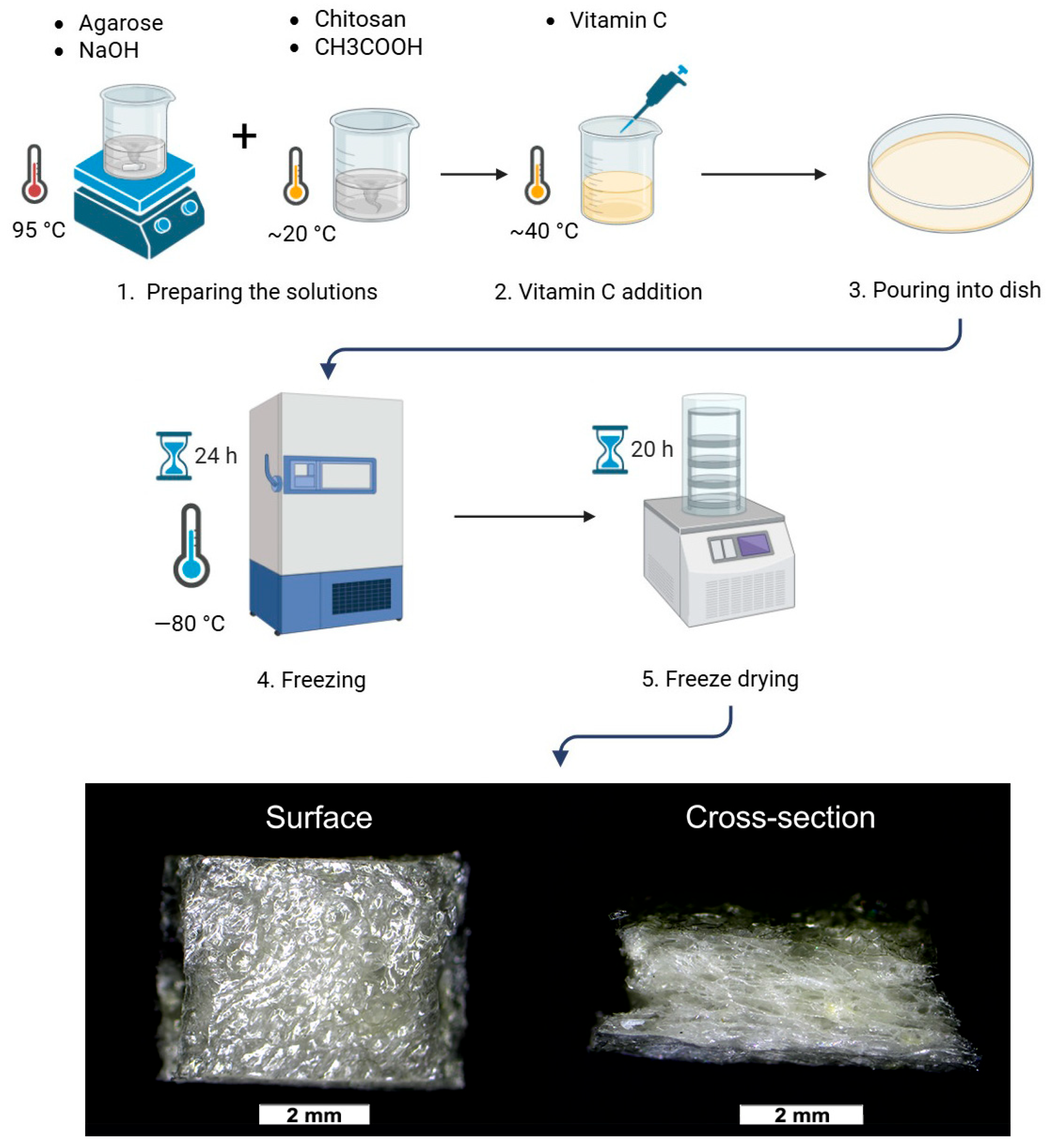 Coatings 15 01116 g001 Coatings 15 01116 g001