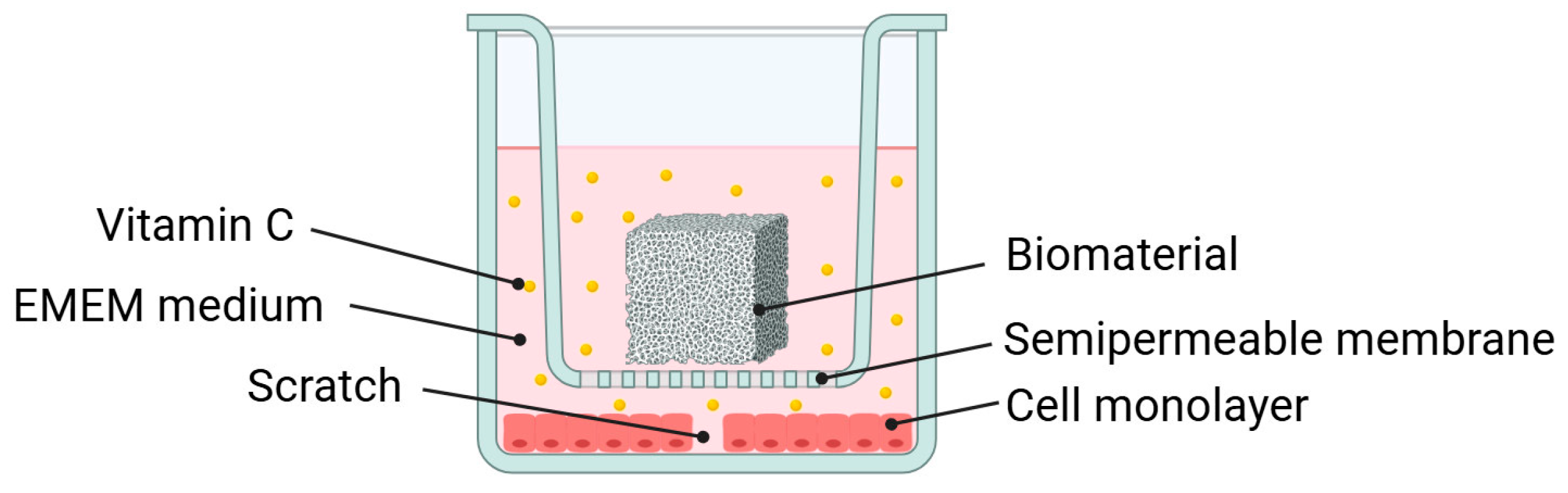 Coatings 15 01116 g002 Coatings 15 01116 g002