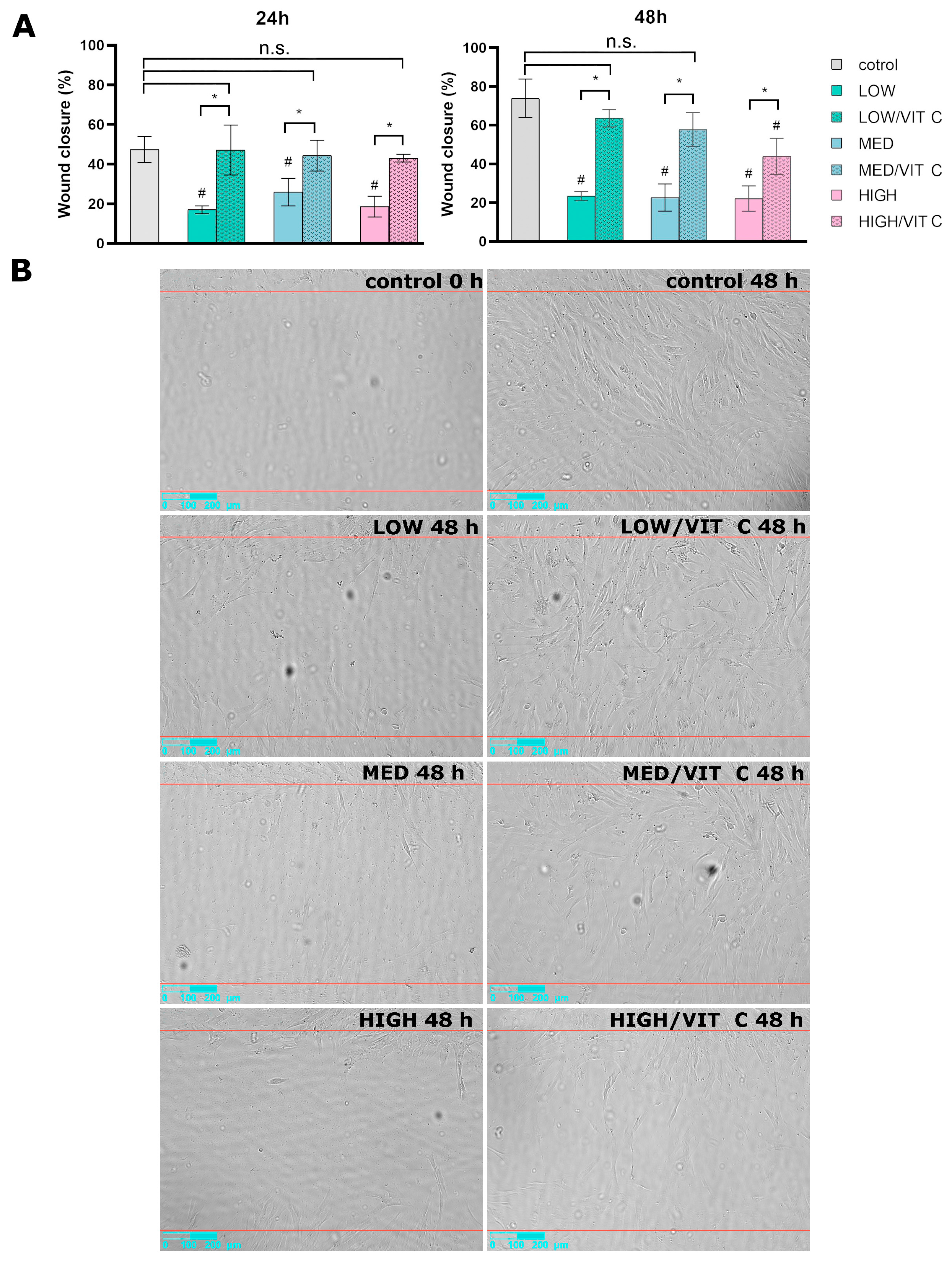 Coatings 15 01116 g004 Coatings 15 01116 g004