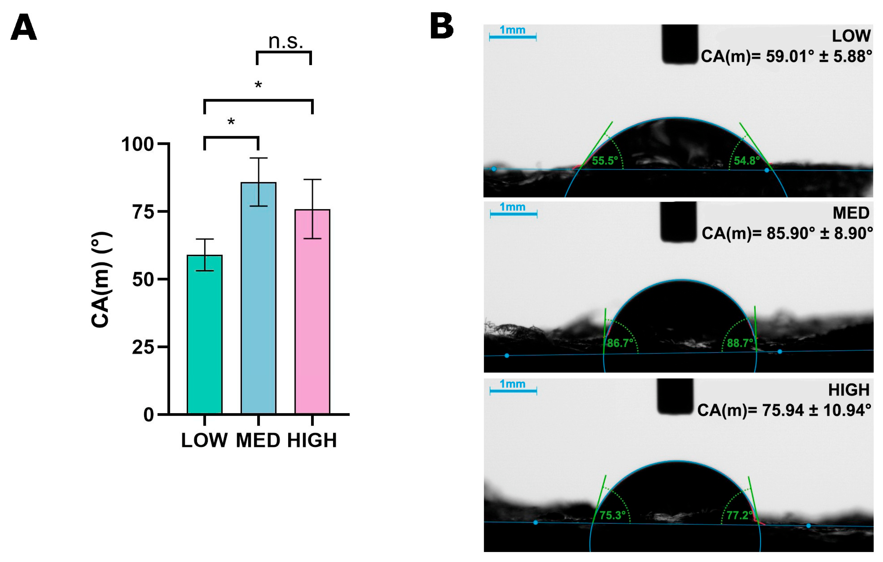 Coatings 15 01116 g006 Coatings 15 01116 g006