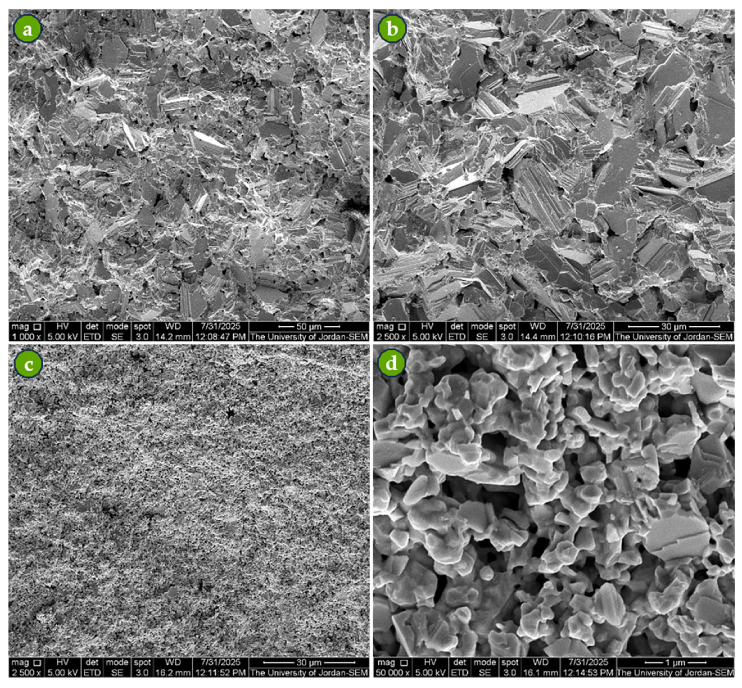 Coatings 15 01118 g008