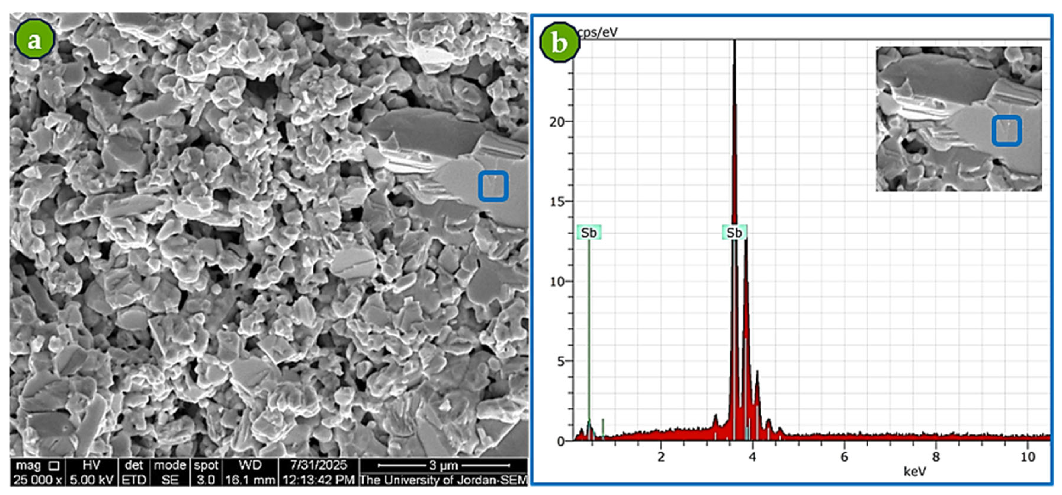 Coatings 15 01118 g010
