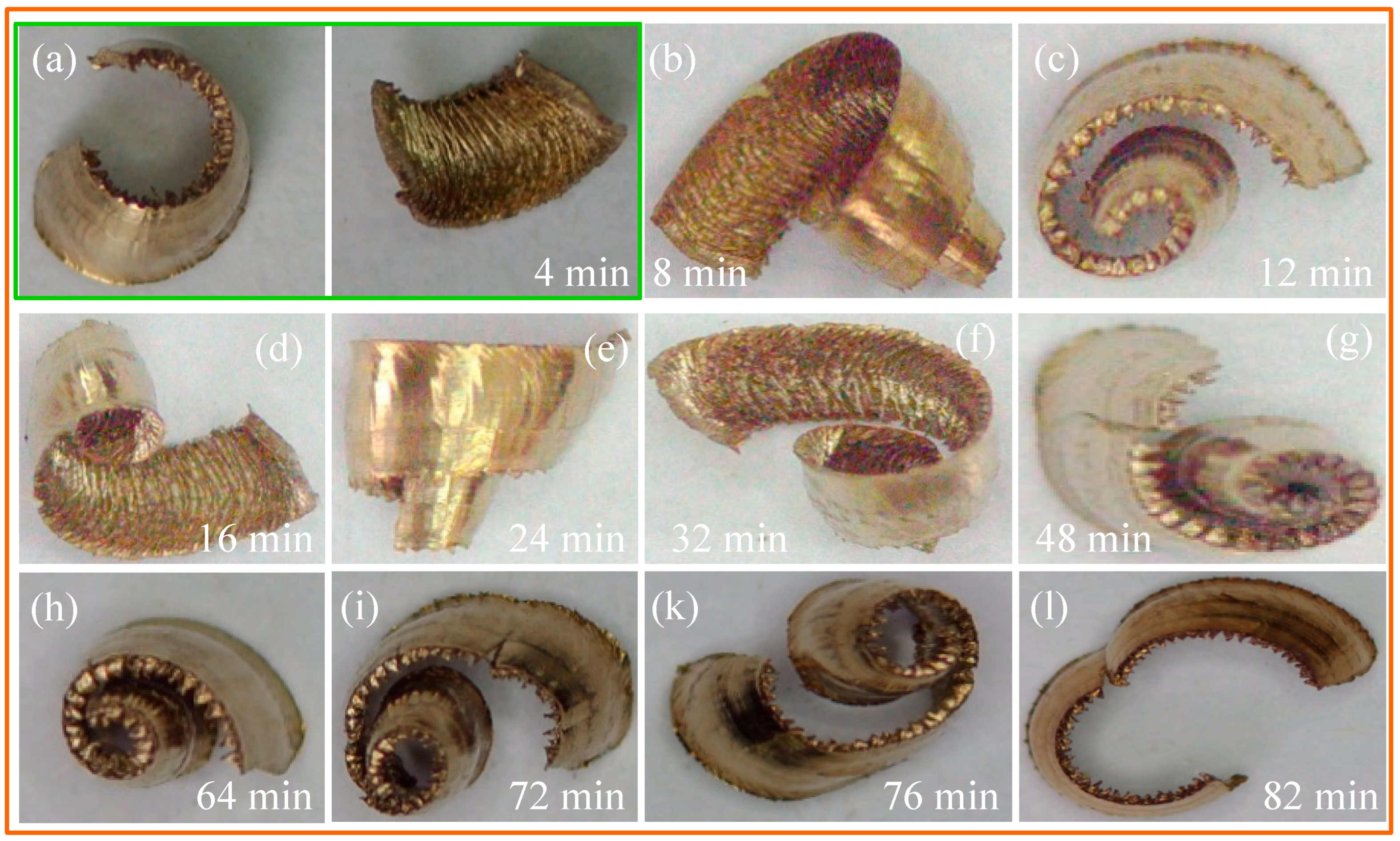 Coatings 15 01124 g011