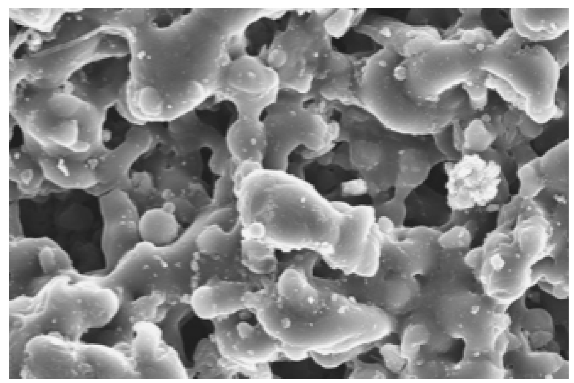 Coatings 15 01128 g003 Coatings 15 01128 g003