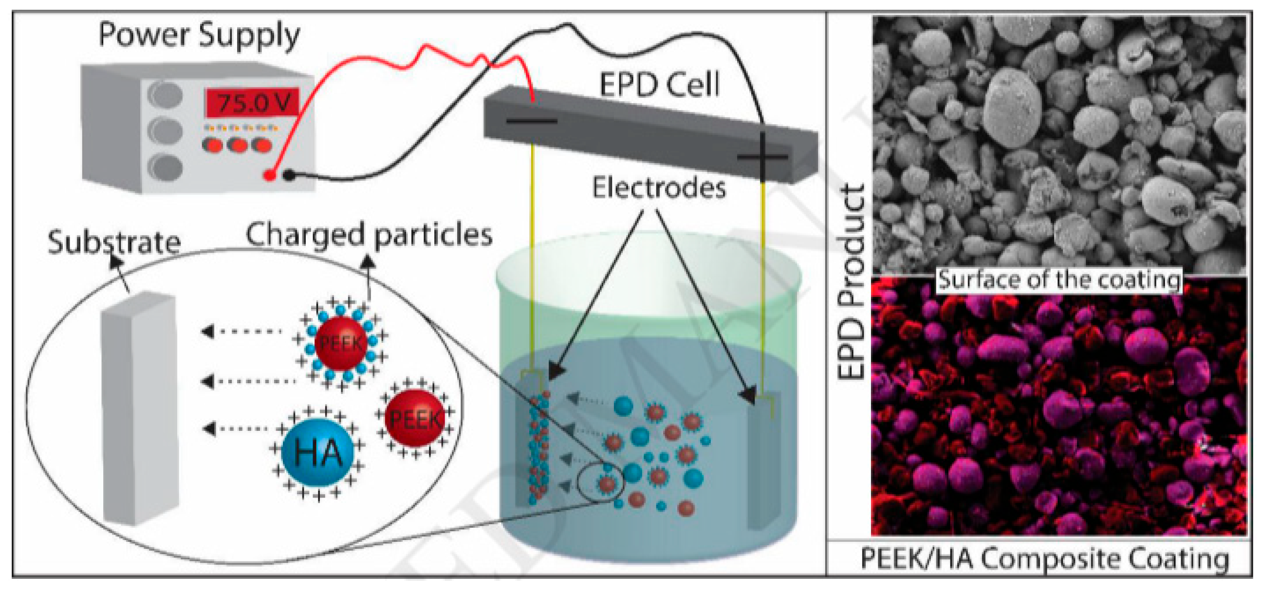 Coatings 15 01128 g010 Coatings 15 01128 g010