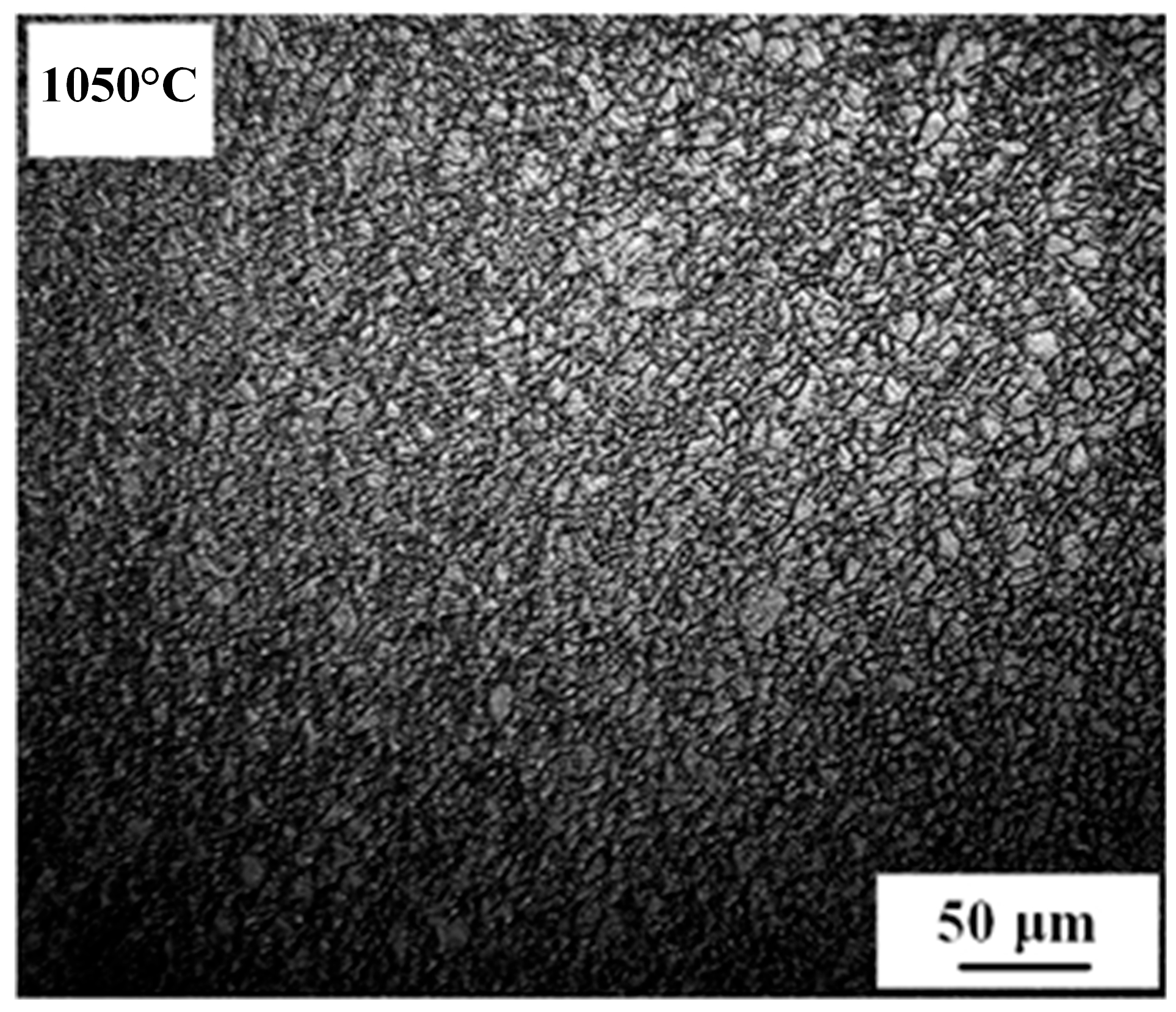 Coatings 15 01144 g001 Coatings 15 01144 g001
