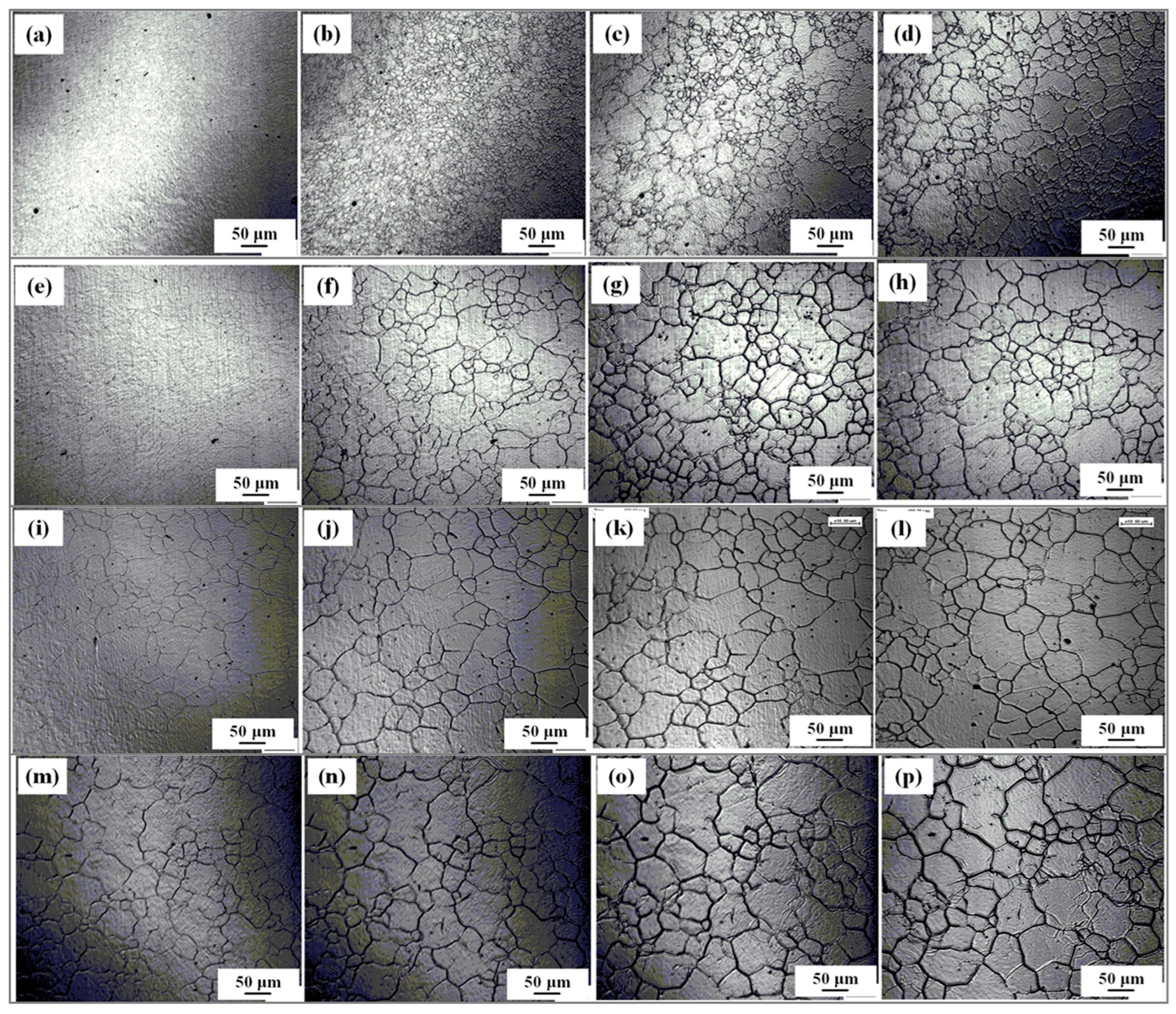 Coatings 15 01144 g002 Coatings 15 01144 g002