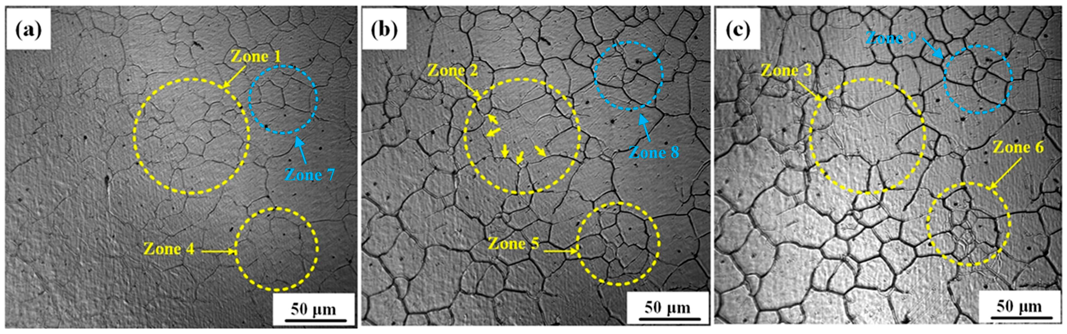 Coatings 15 01144 g008 Coatings 15 01144 g008
