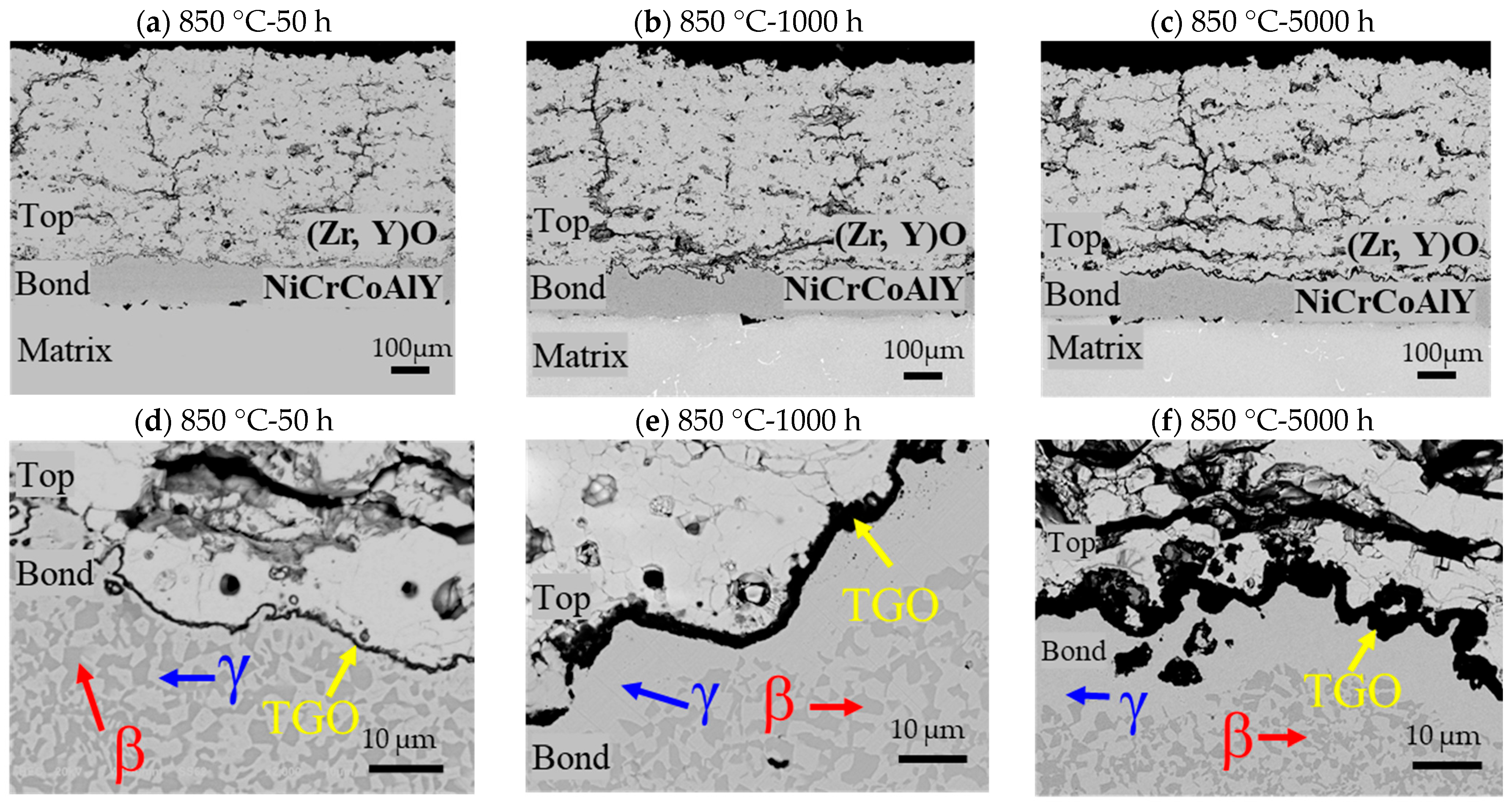 Coatings 15 01145 g001 Coatings 15 01145 g001