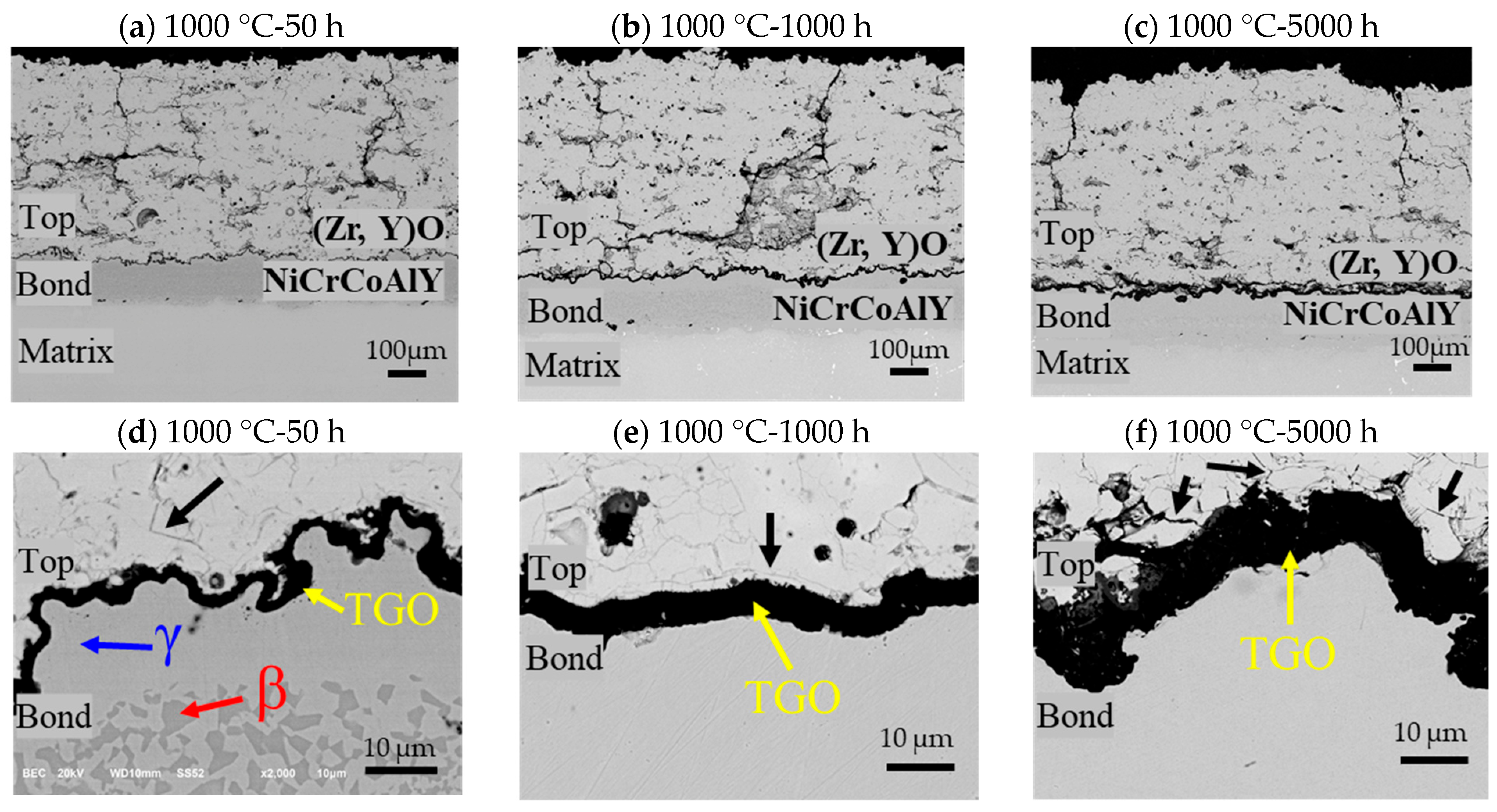 Coatings 15 01145 g002 Coatings 15 01145 g002