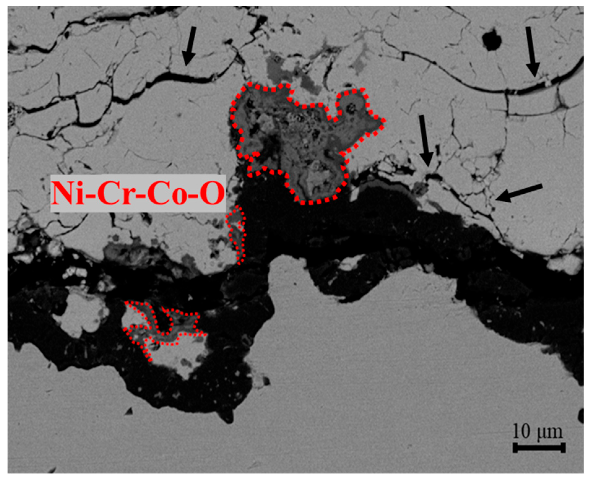 Coatings 15 01145 g005 Coatings 15 01145 g005