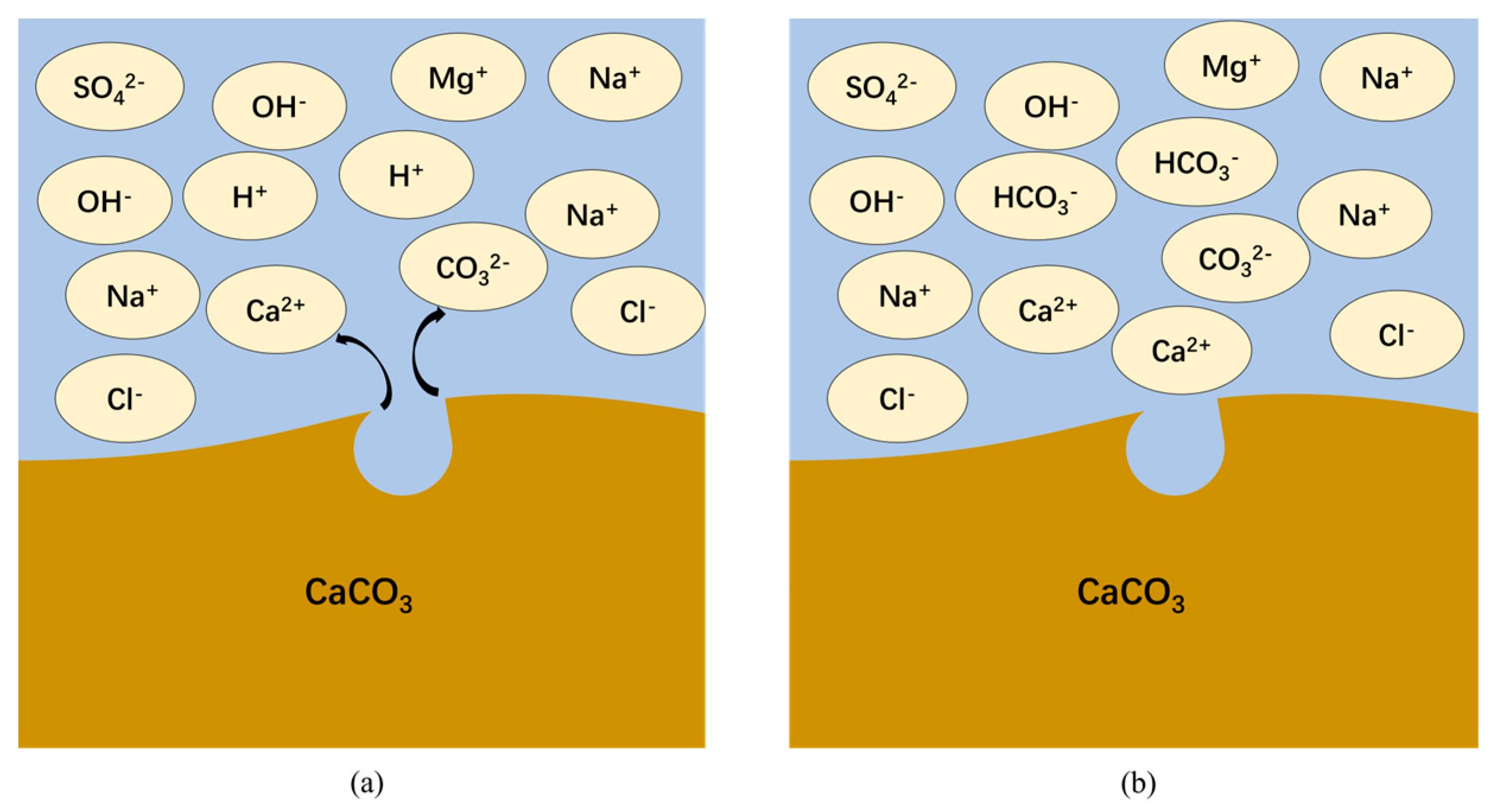 Coatings 15 01146 g006