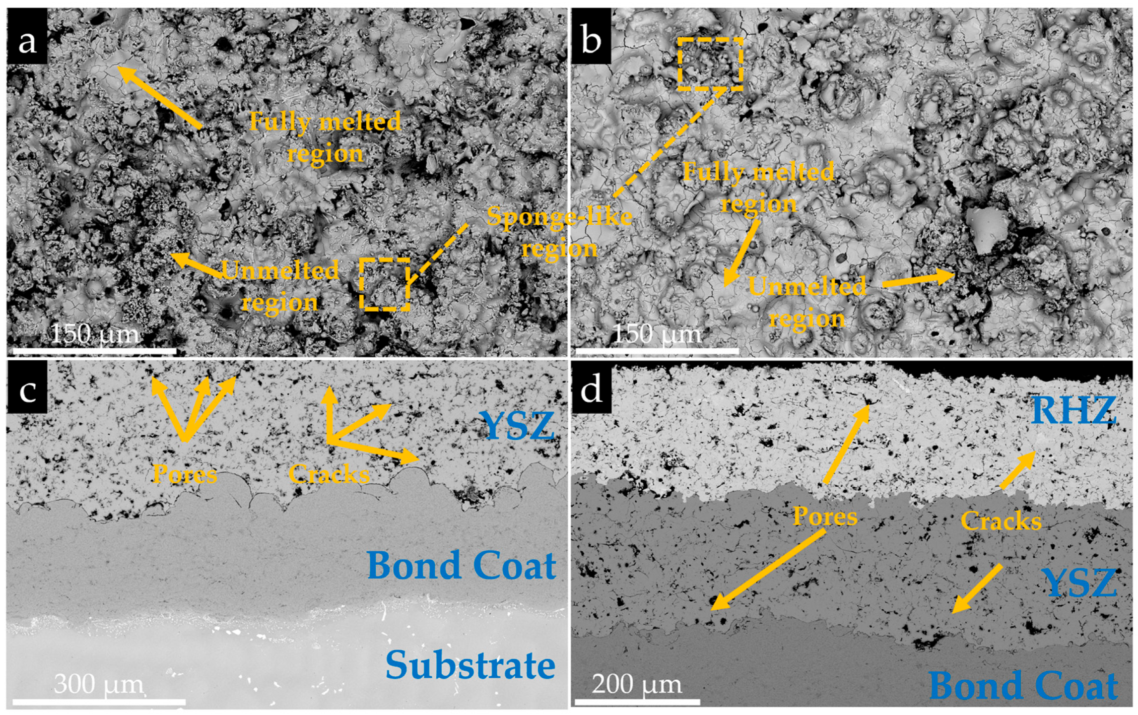 Coatings 15 01147 g003