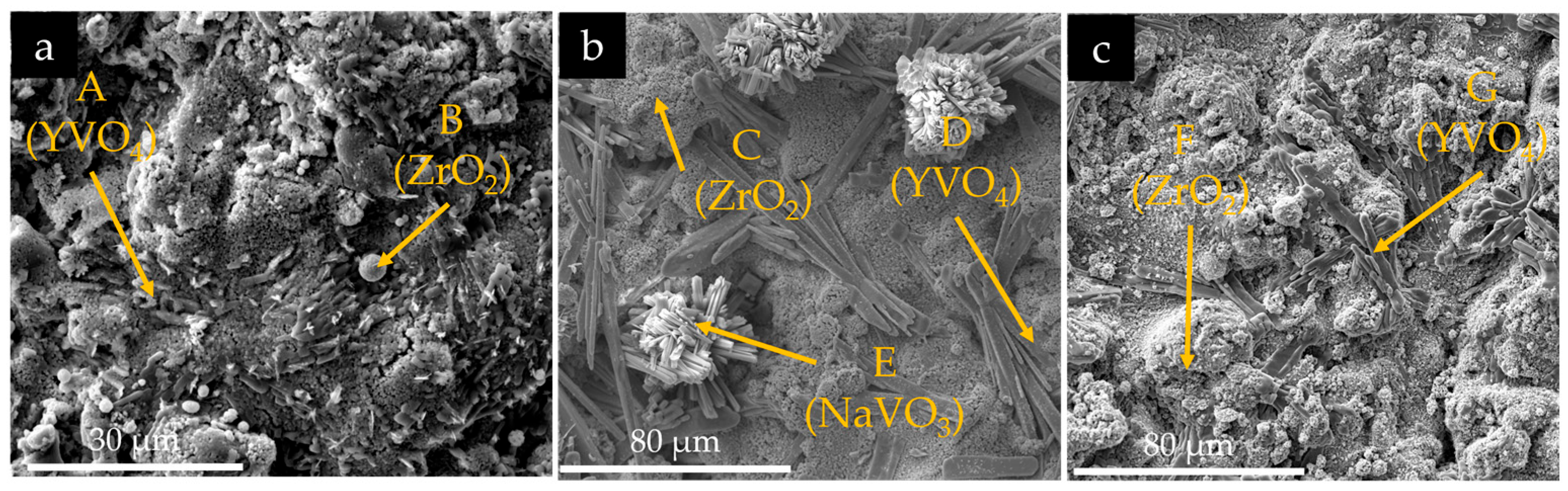Coatings 15 01147 g006