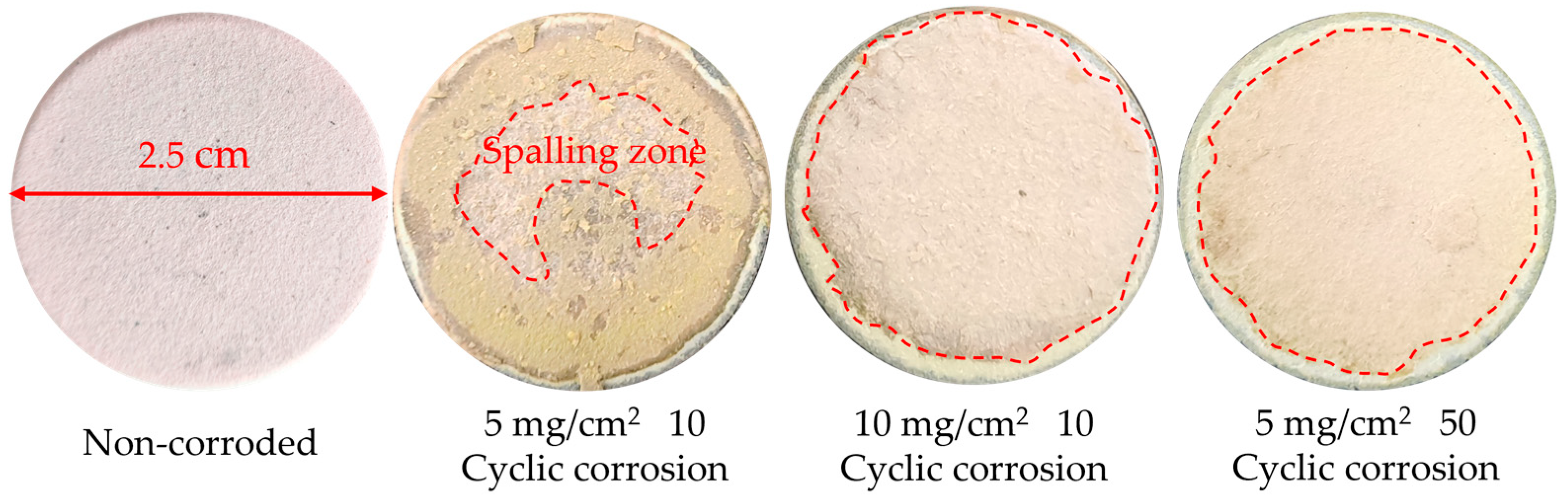 Coatings 15 01147 g009