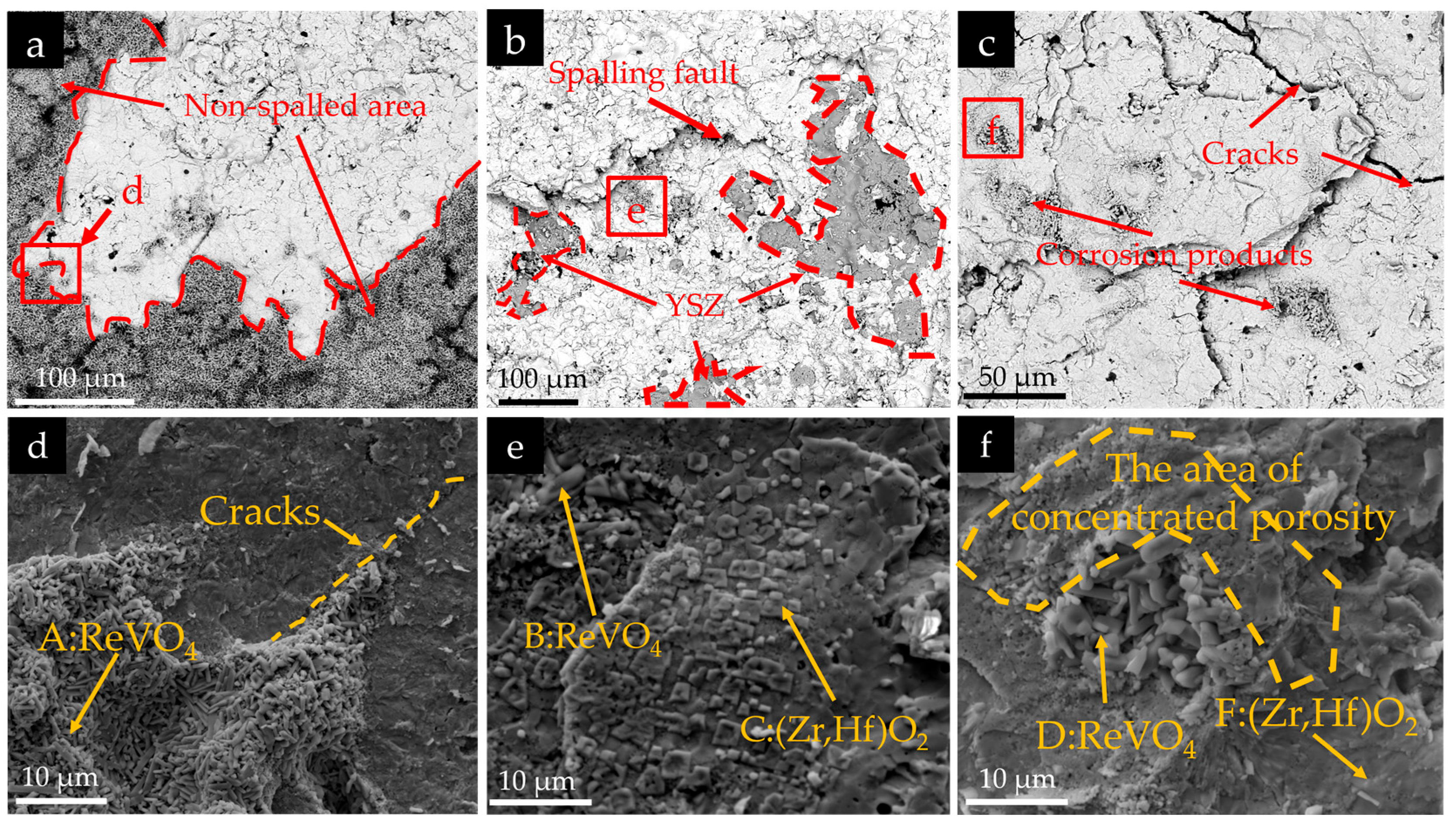 Coatings 15 01147 g010