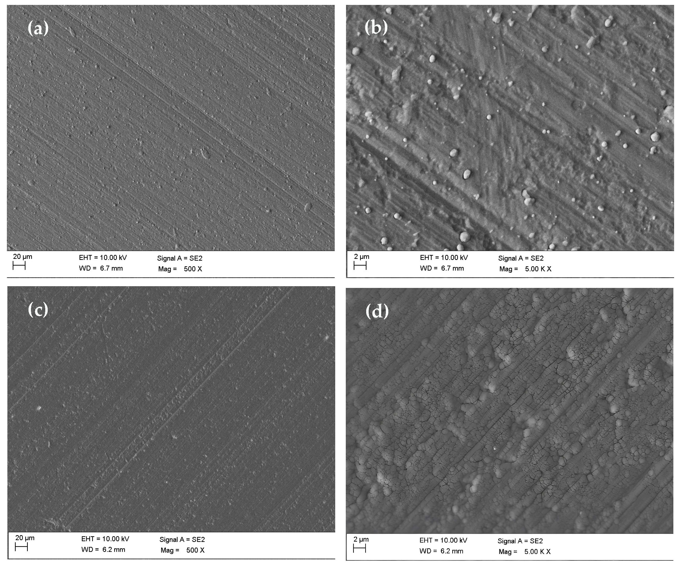 Coatings 15 01150 g002