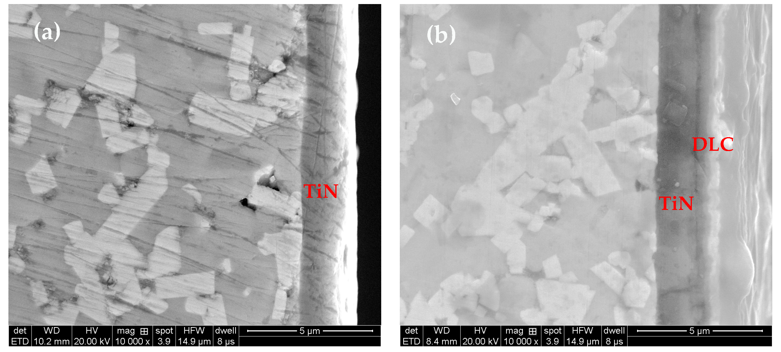 Coatings 15 01150 g003