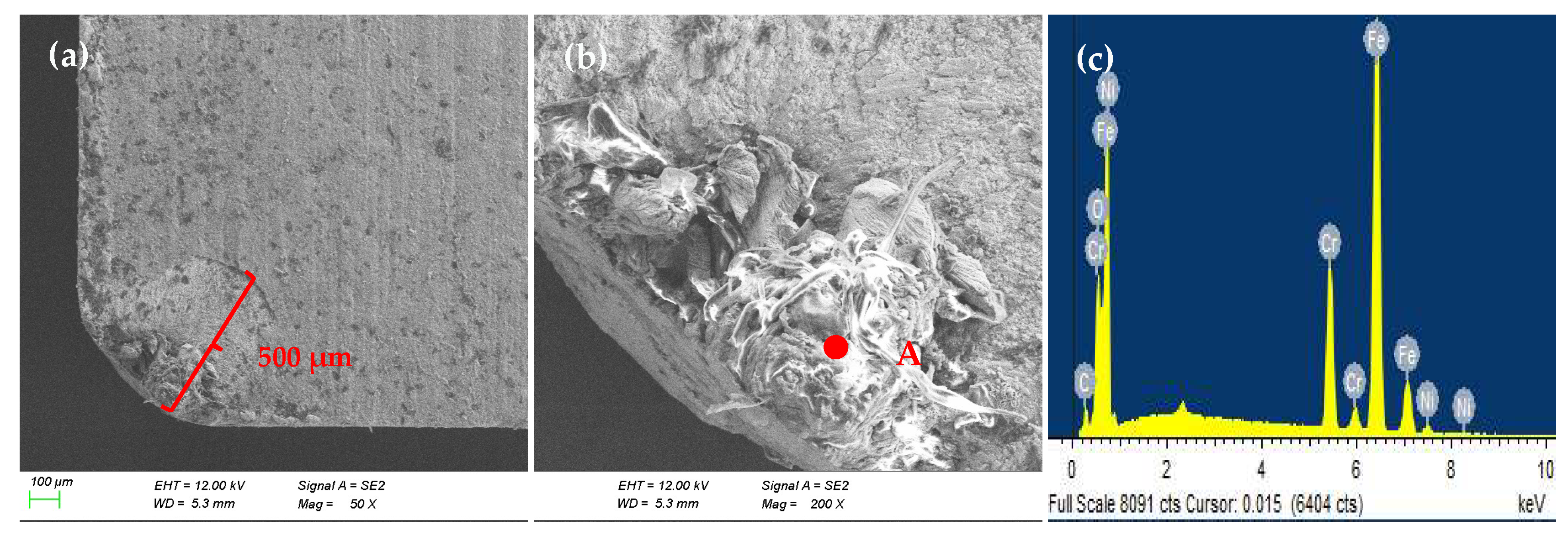 Coatings 15 01150 g009