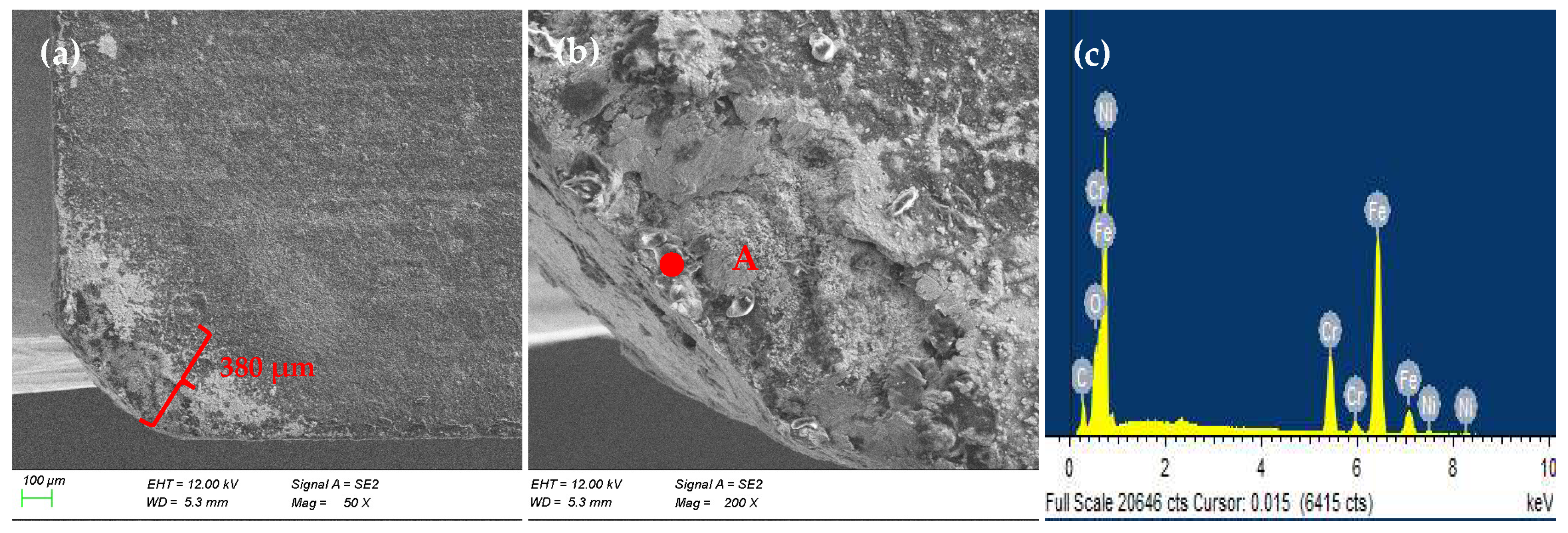 Coatings 15 01150 g010