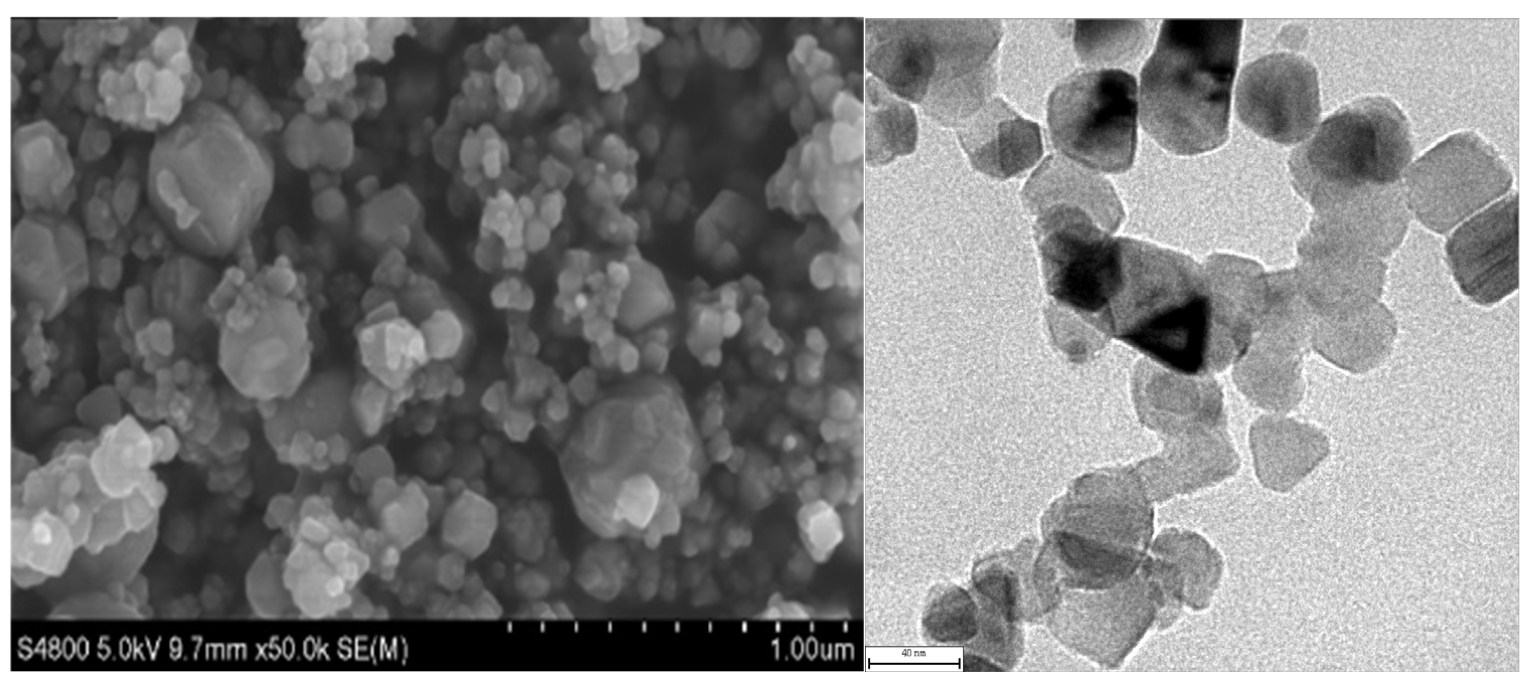 Coatings 15 01159 g001