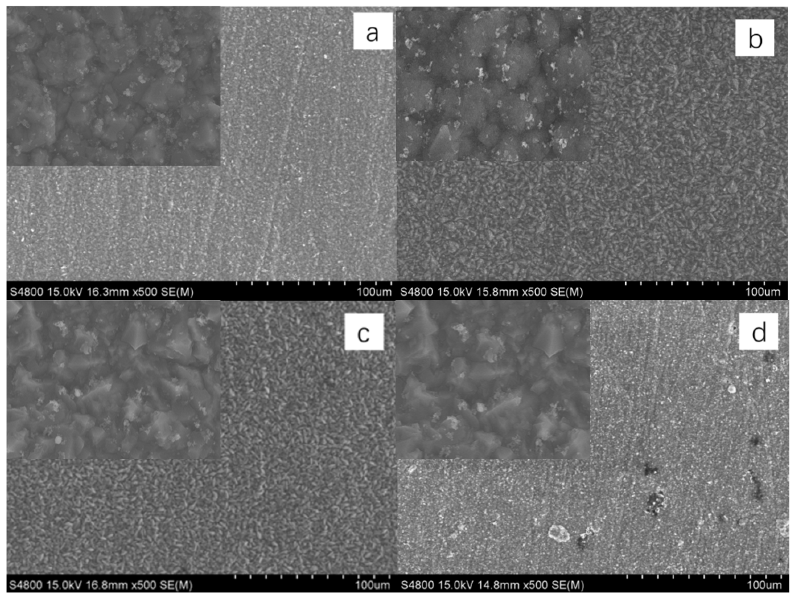 Coatings 15 01159 g004