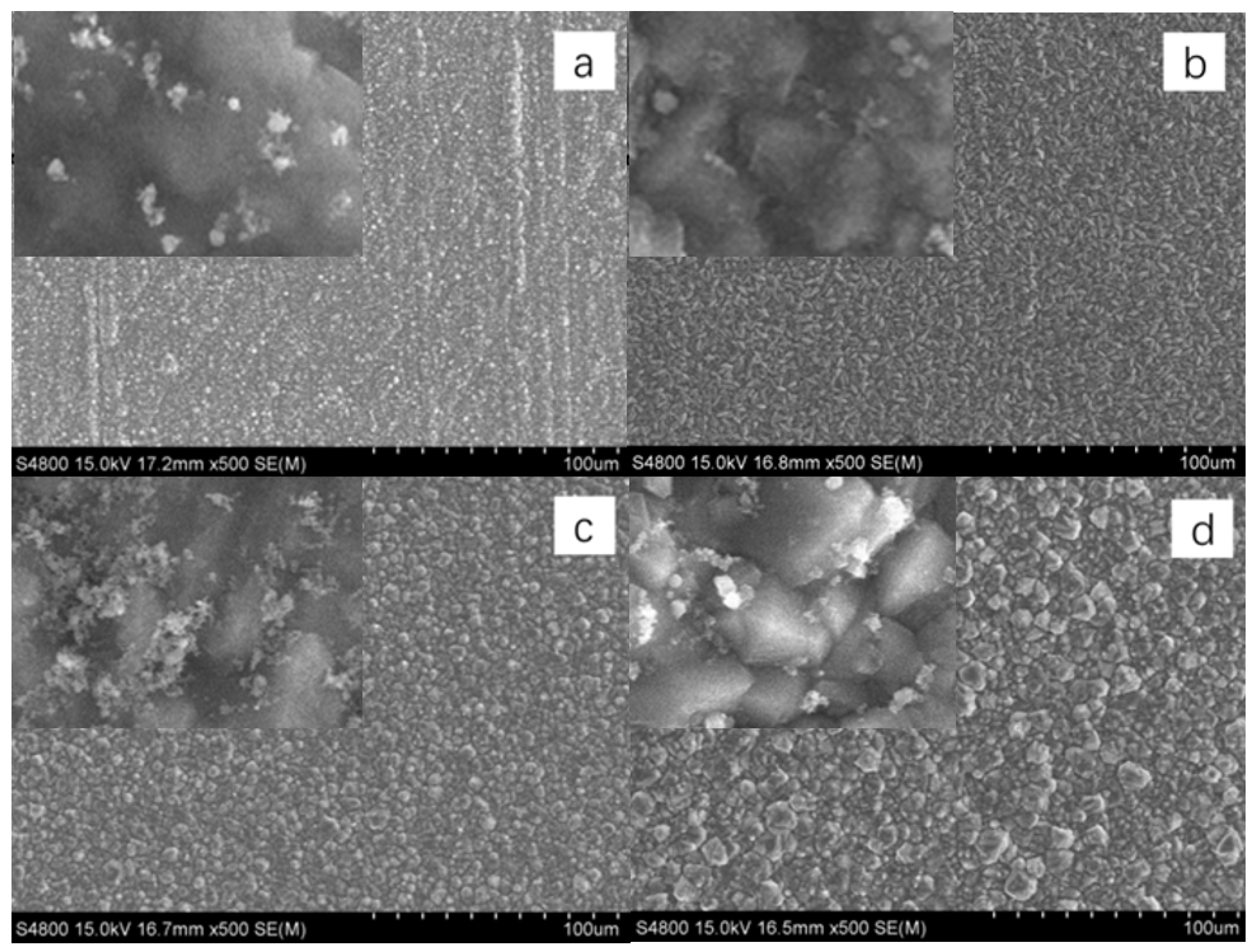 Coatings 15 01159 g005