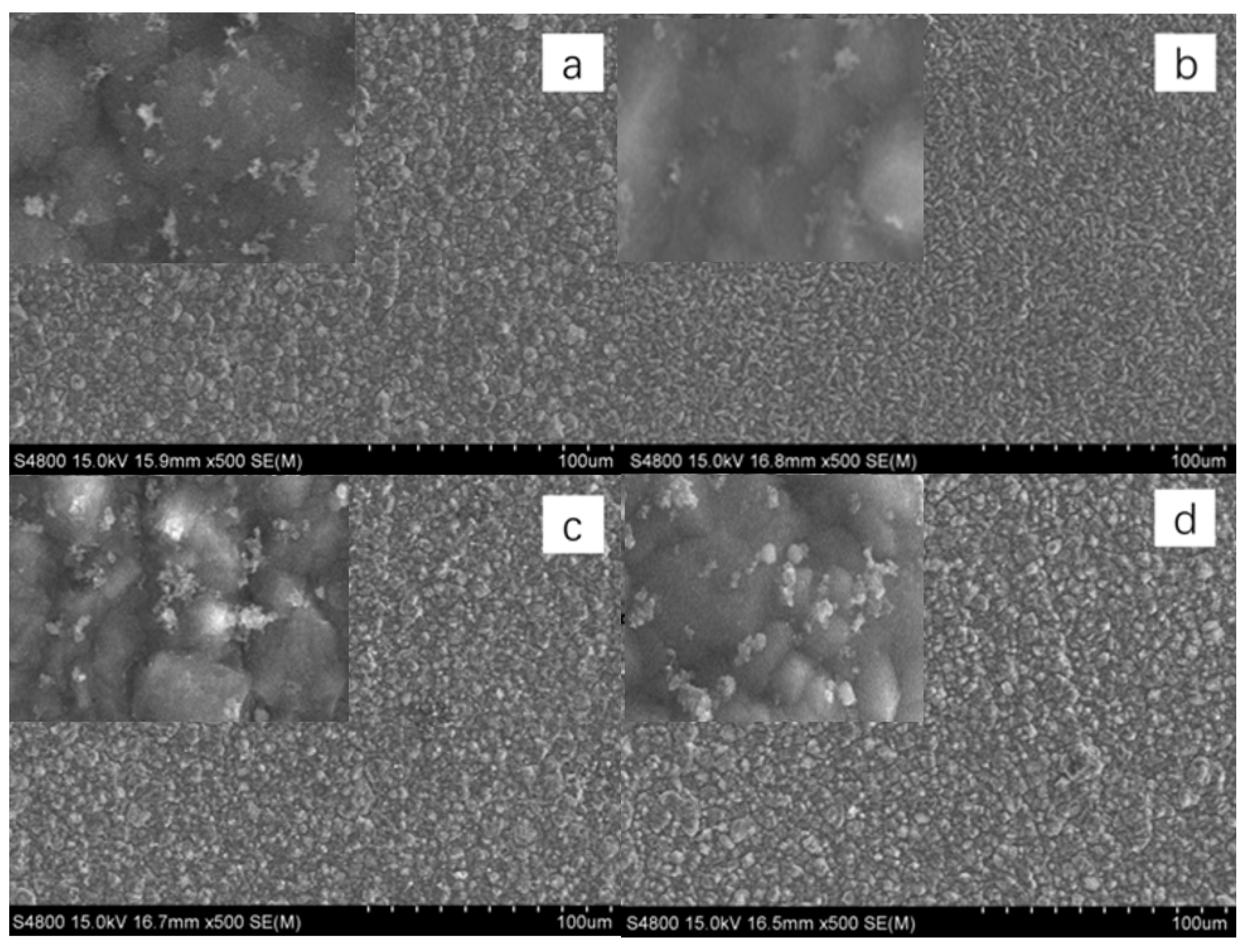 Coatings 15 01159 g006