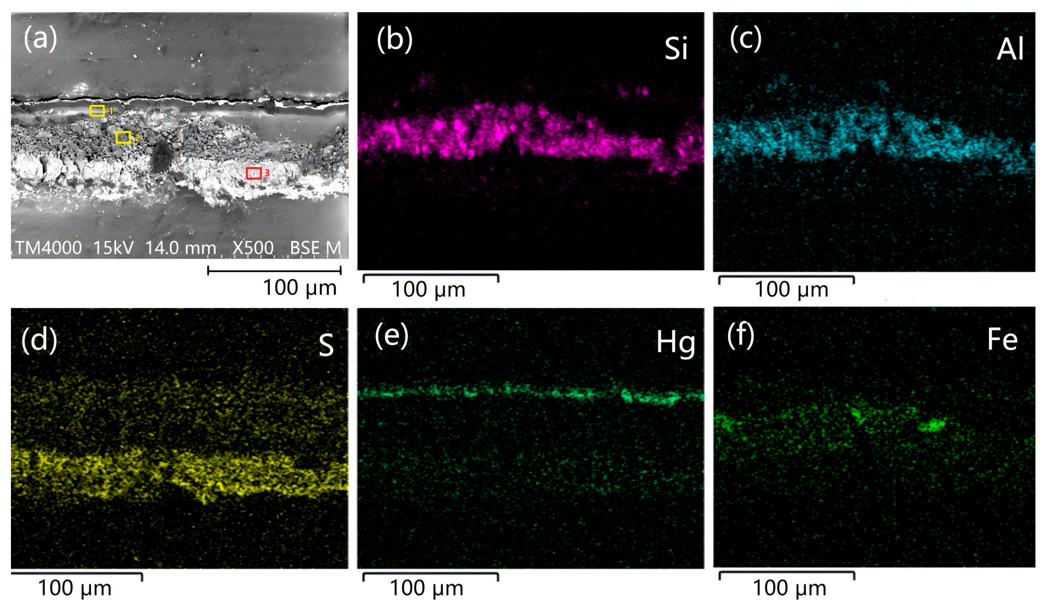 Coatings 15 01163 g005