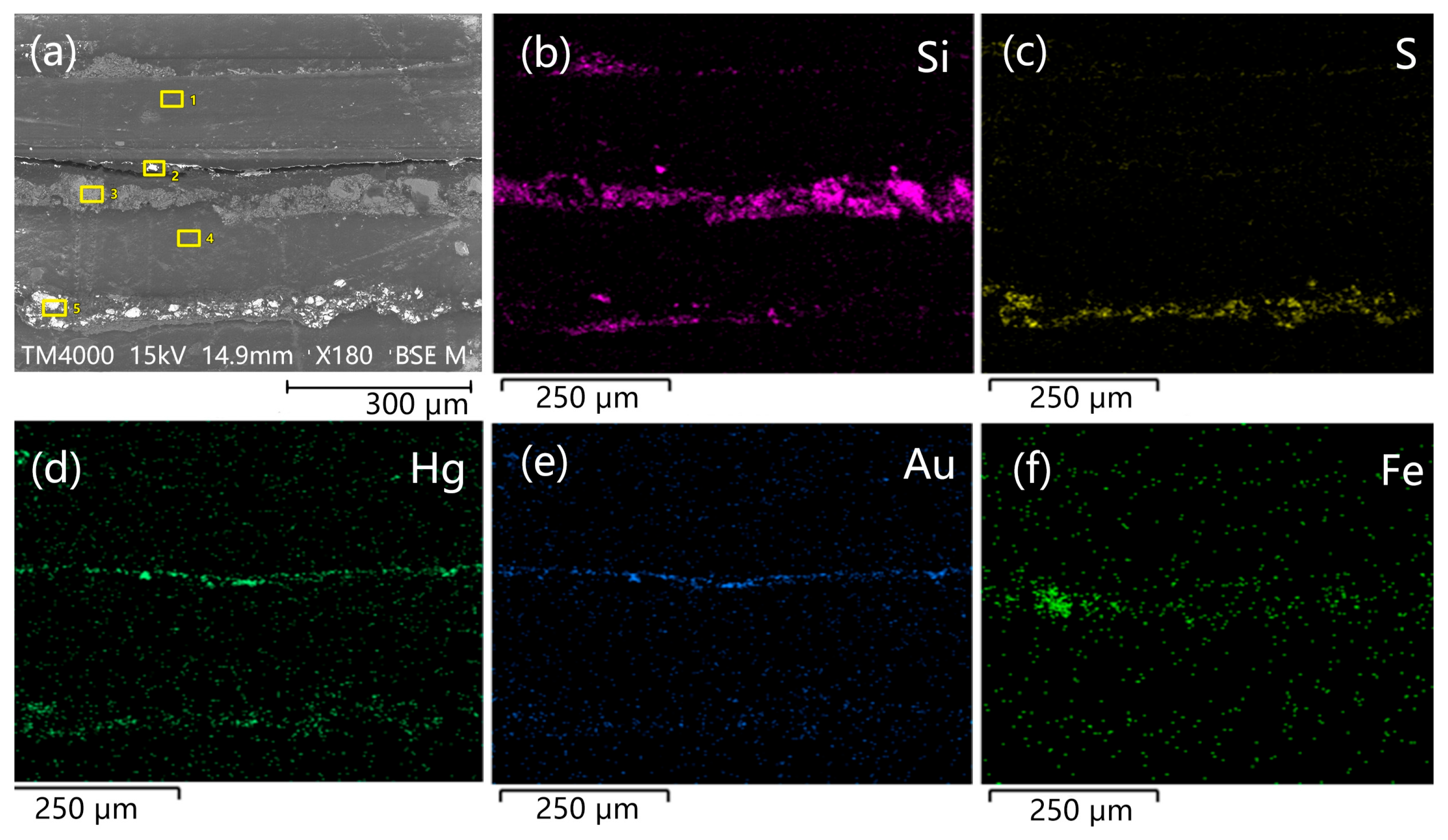 Coatings 15 01163 g006