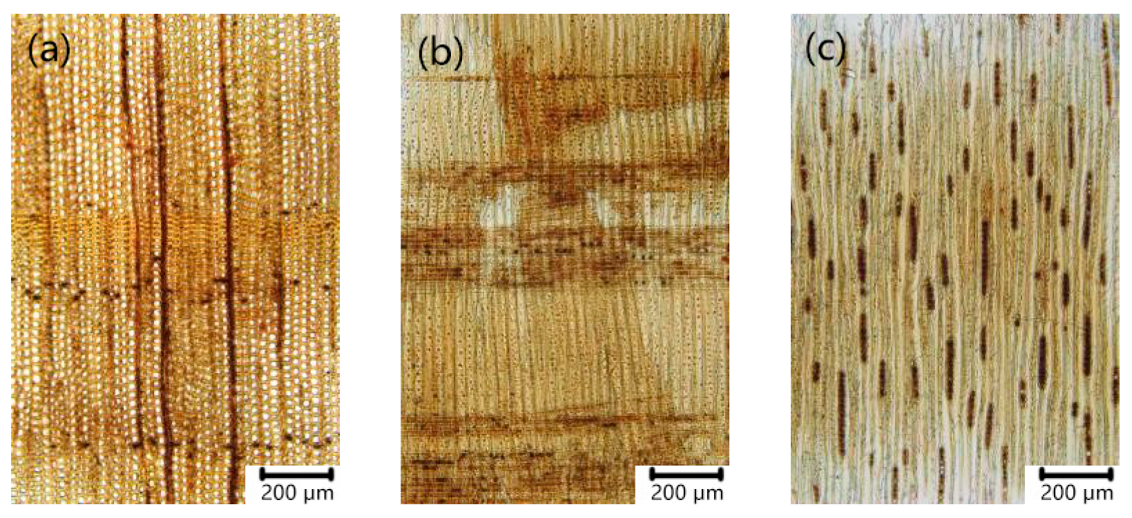 Coatings 15 01163 g008