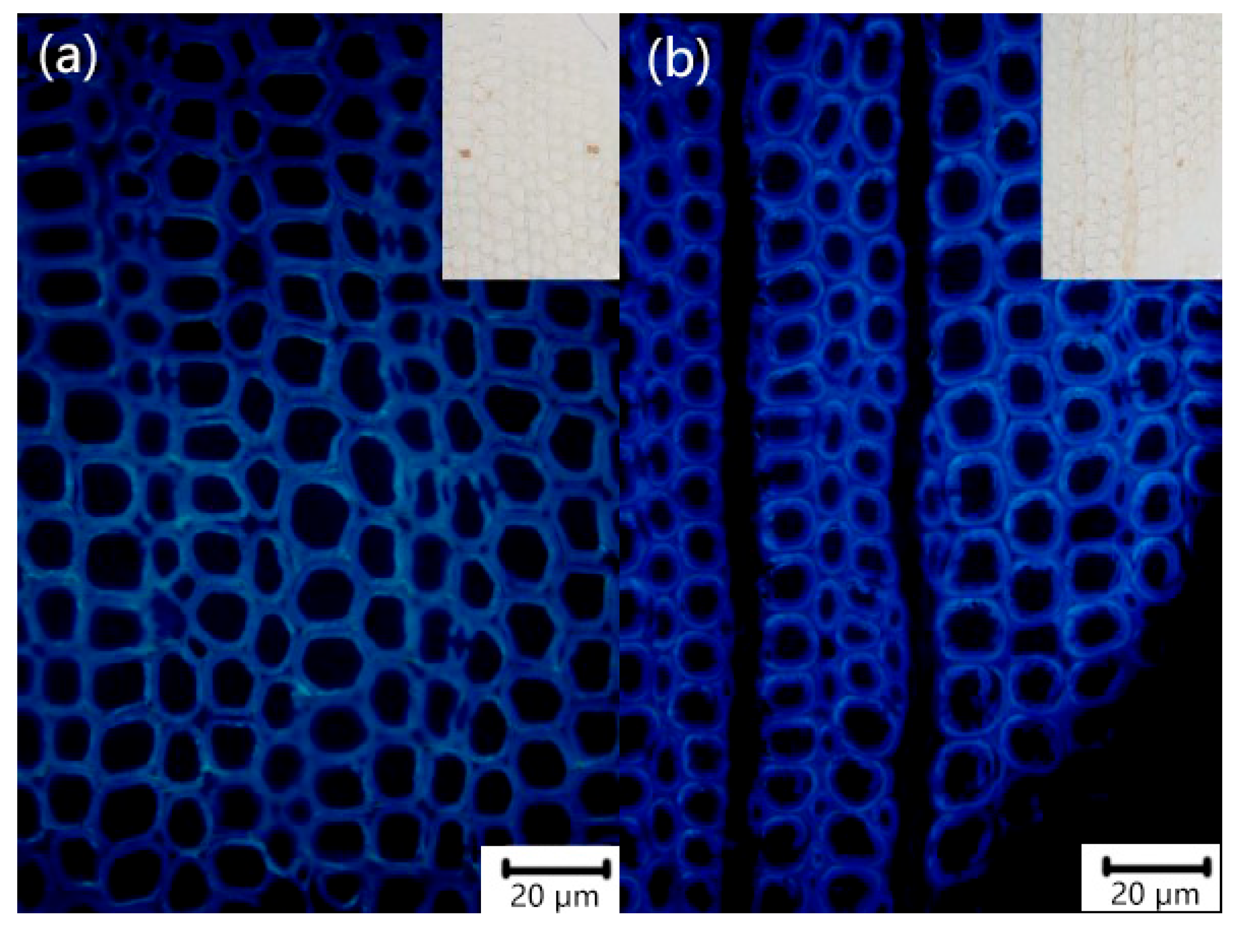 Coatings 15 01163 g010