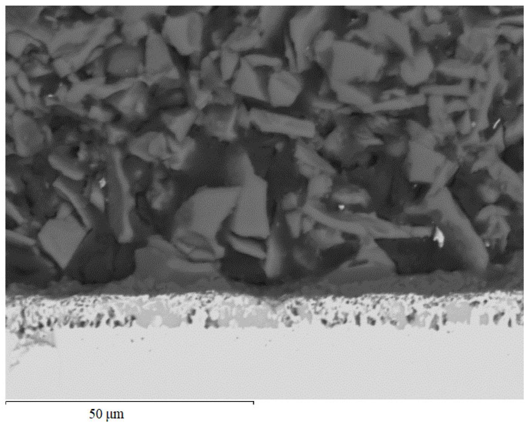 Coatings 15 01168 g006