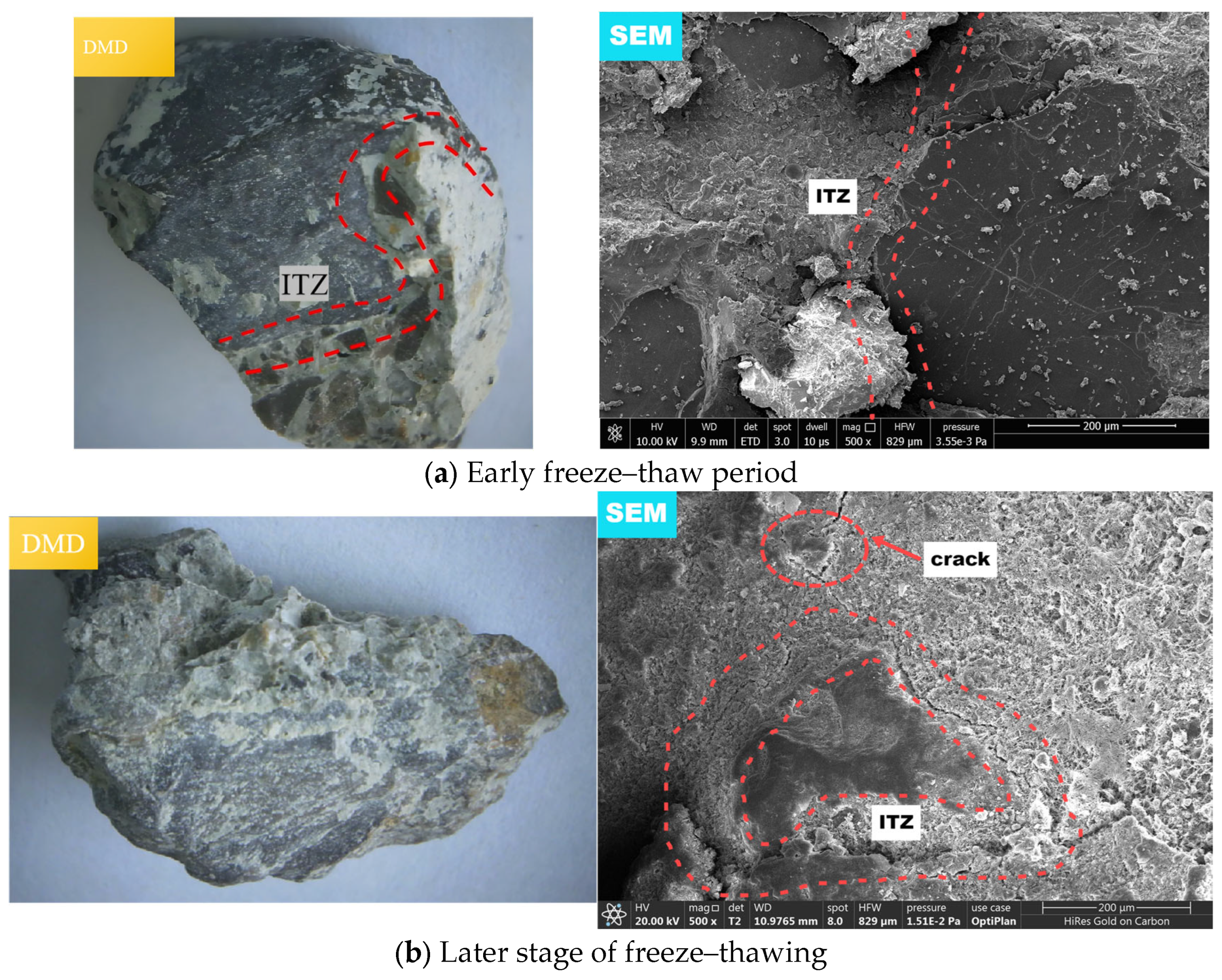 Coatings 15 01169 g012