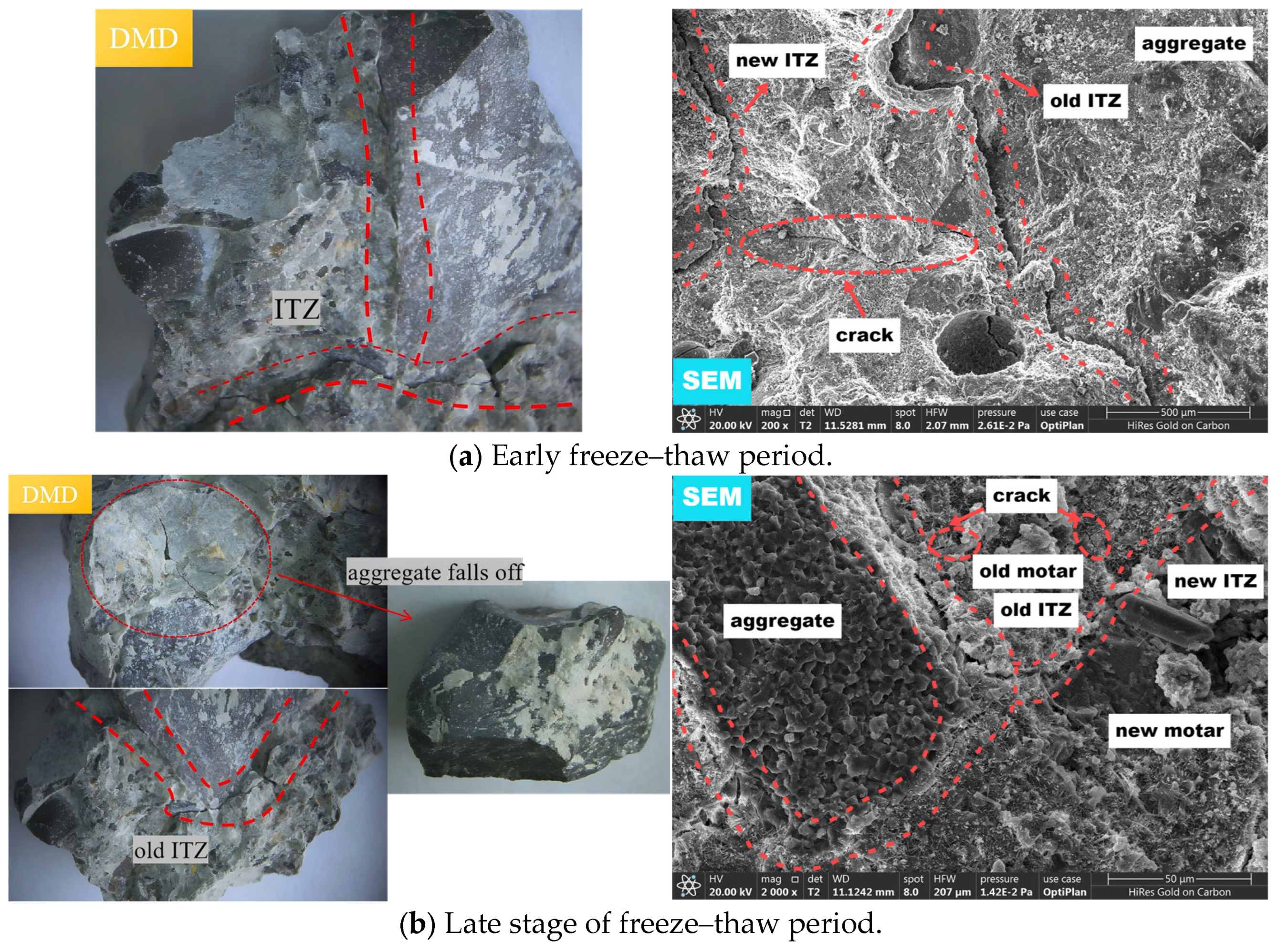 Coatings 15 01169 g014