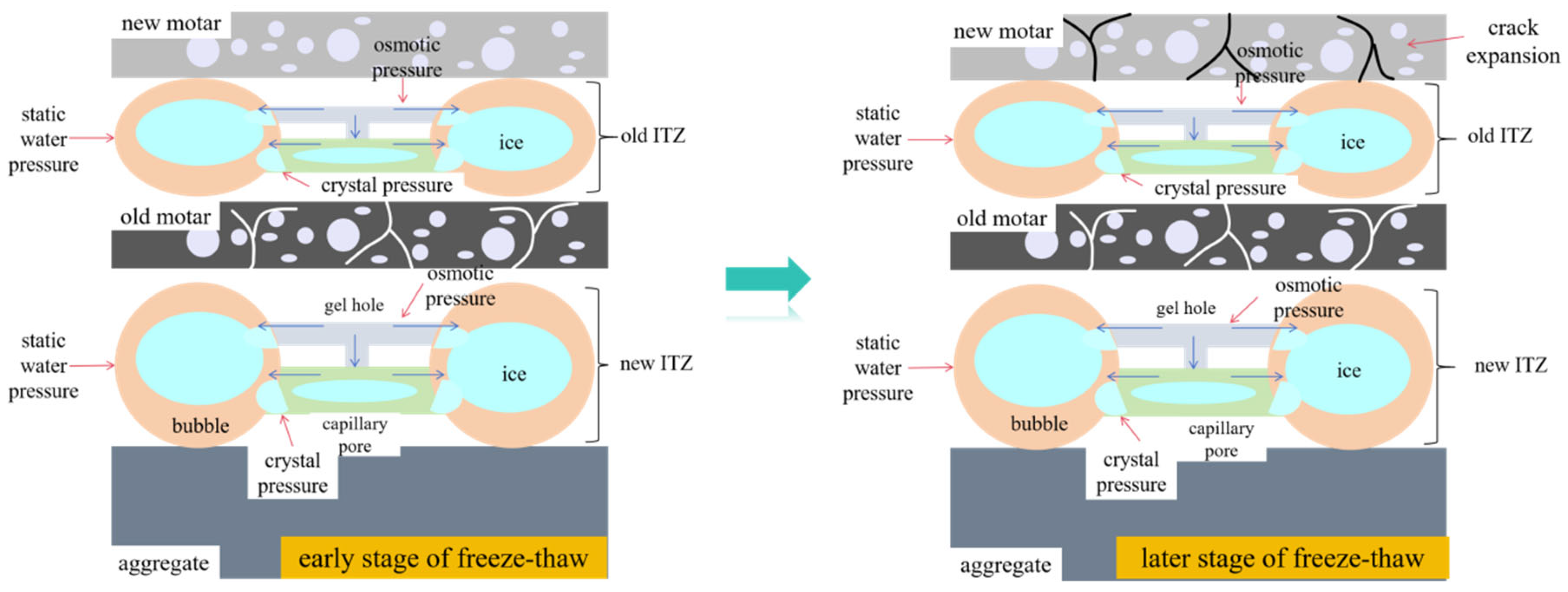 Coatings 15 01169 g015