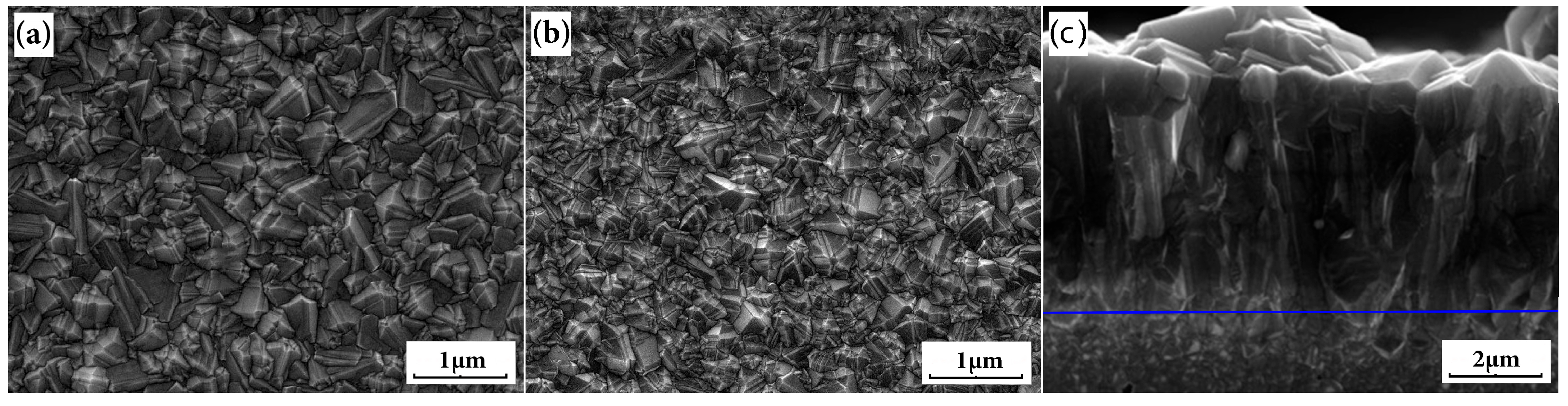 Coatings 15 01171 g001 Coatings 15 01171 g001