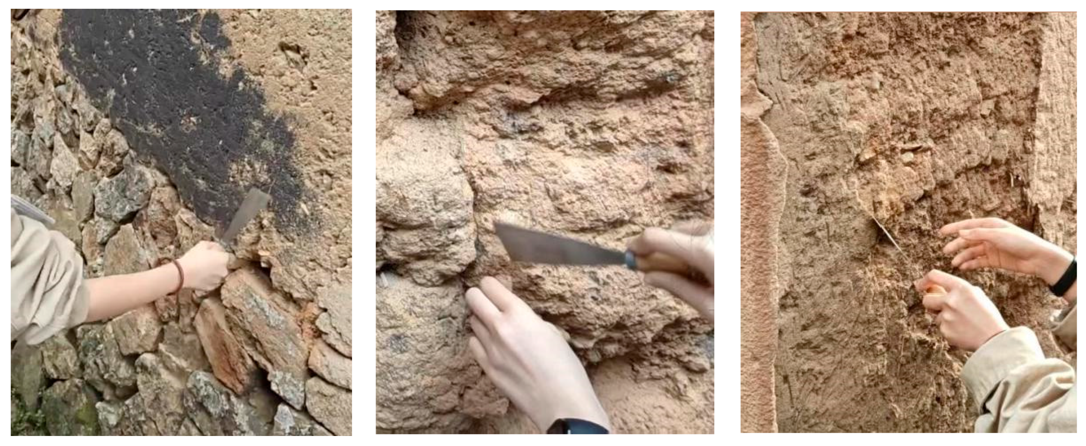 Coatings 15 01173 g008 Coatings 15 01173 g008