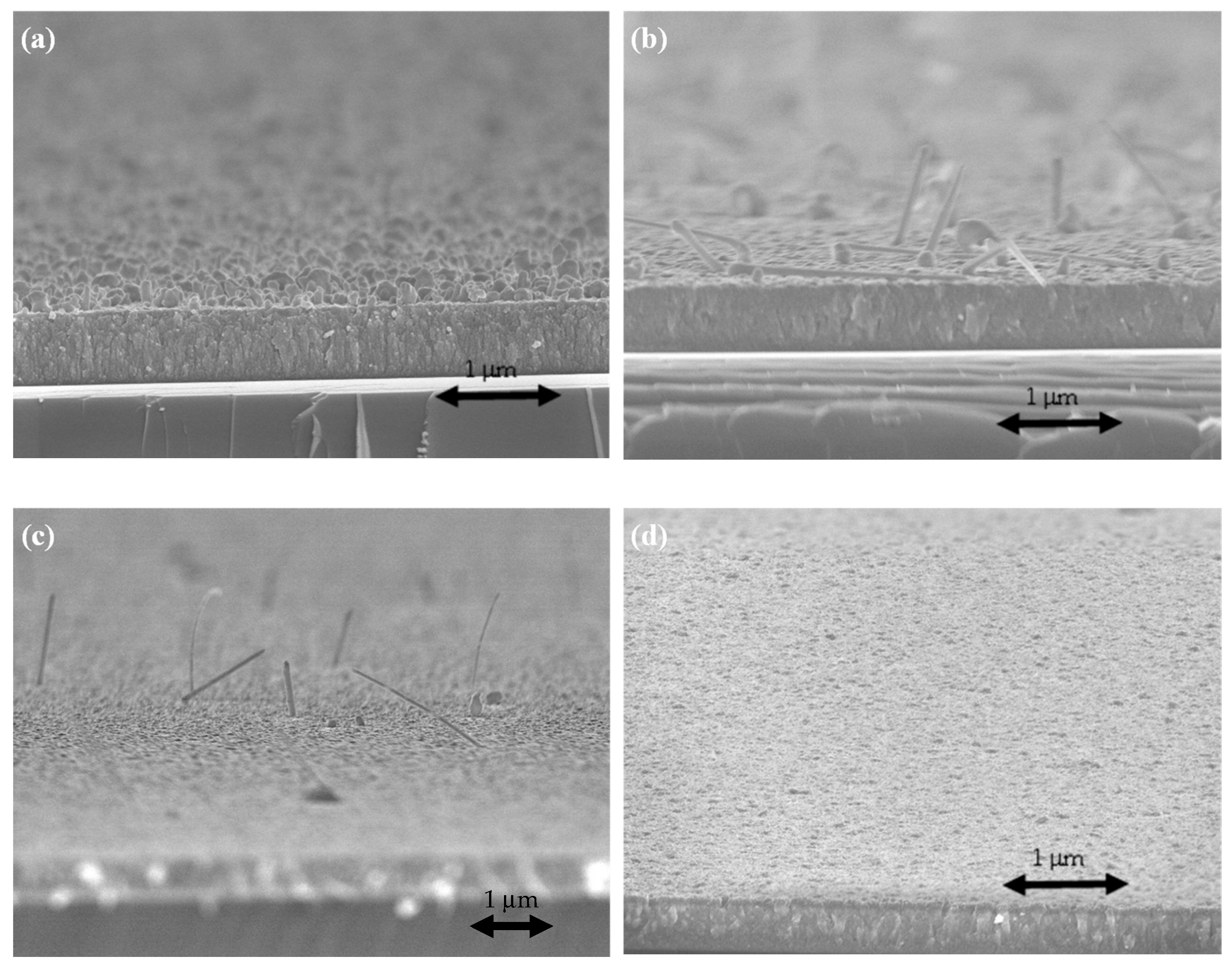 Coatings 15 01175 g007