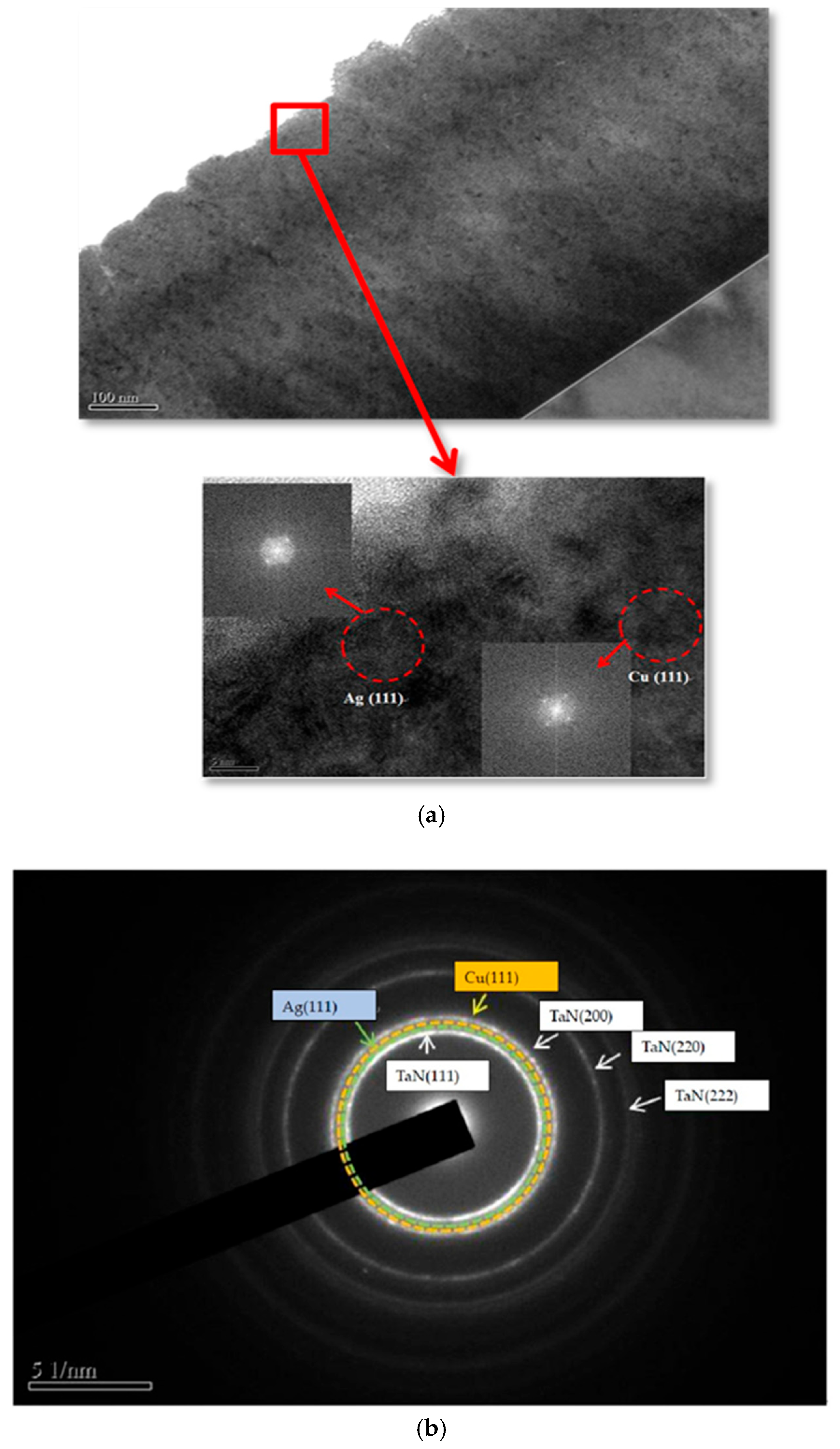 Coatings 15 01175 g011