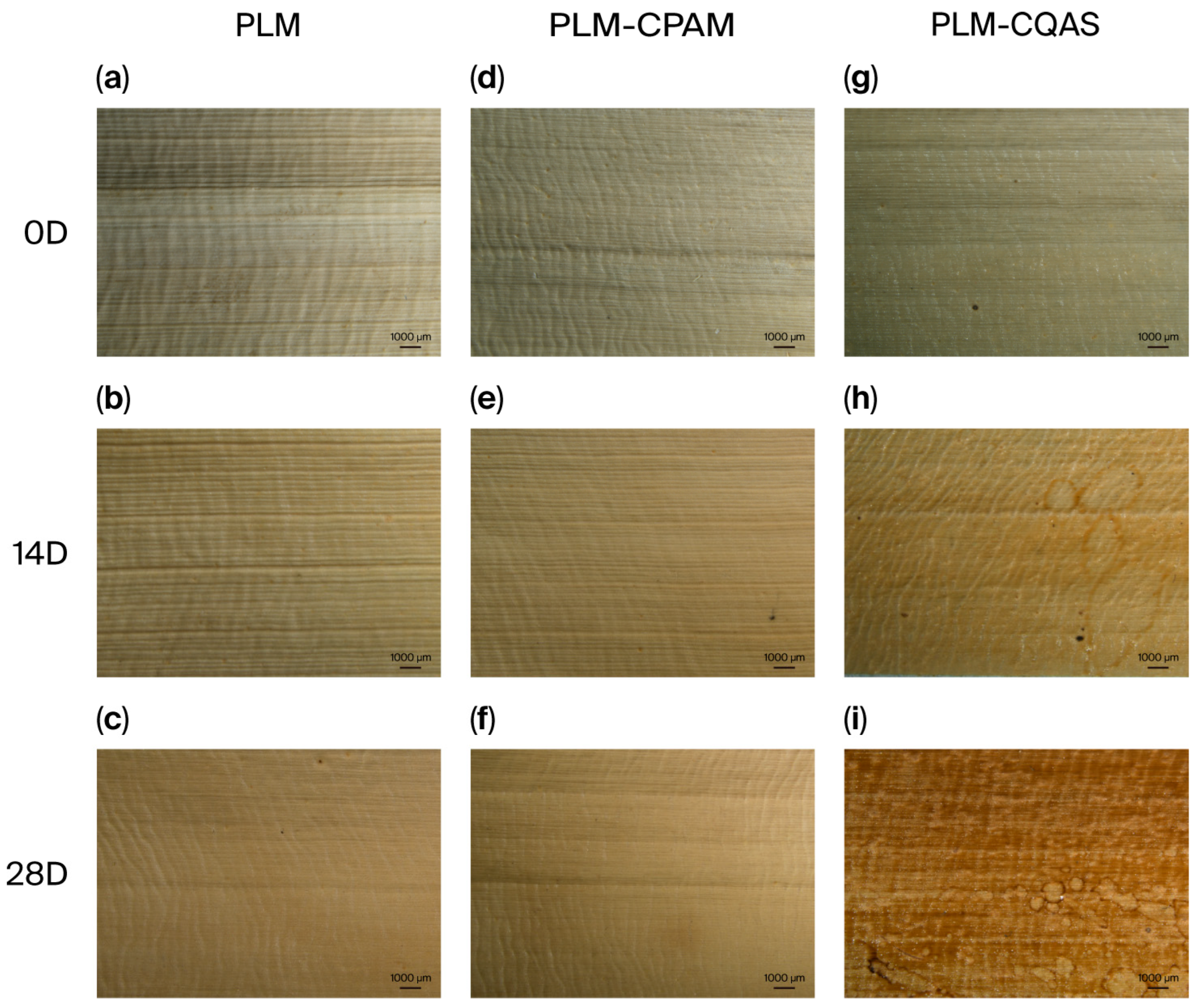 Coatings 15 01178 g002 Coatings 15 01178 g002