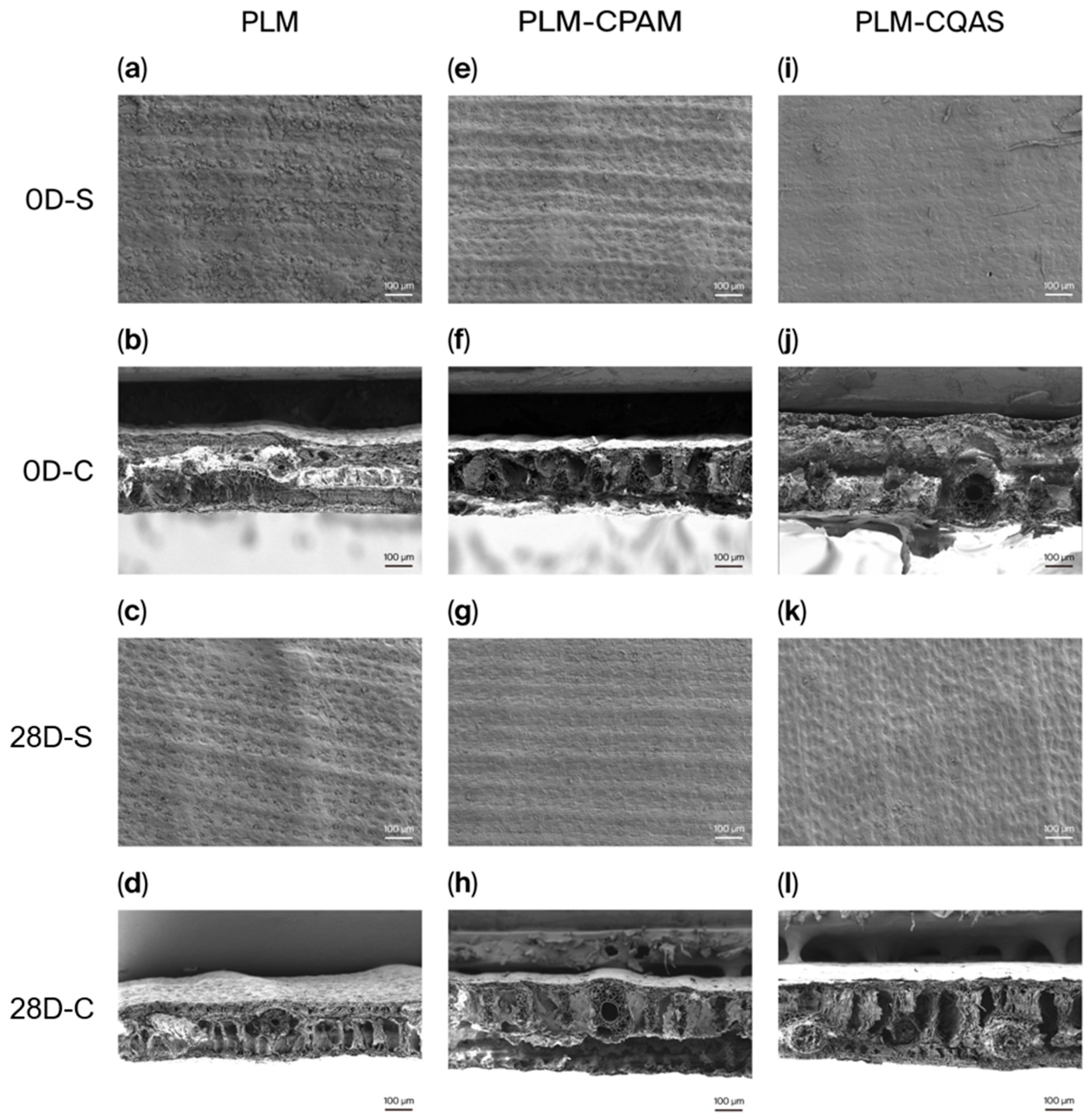 Coatings 15 01178 g004 Coatings 15 01178 g004